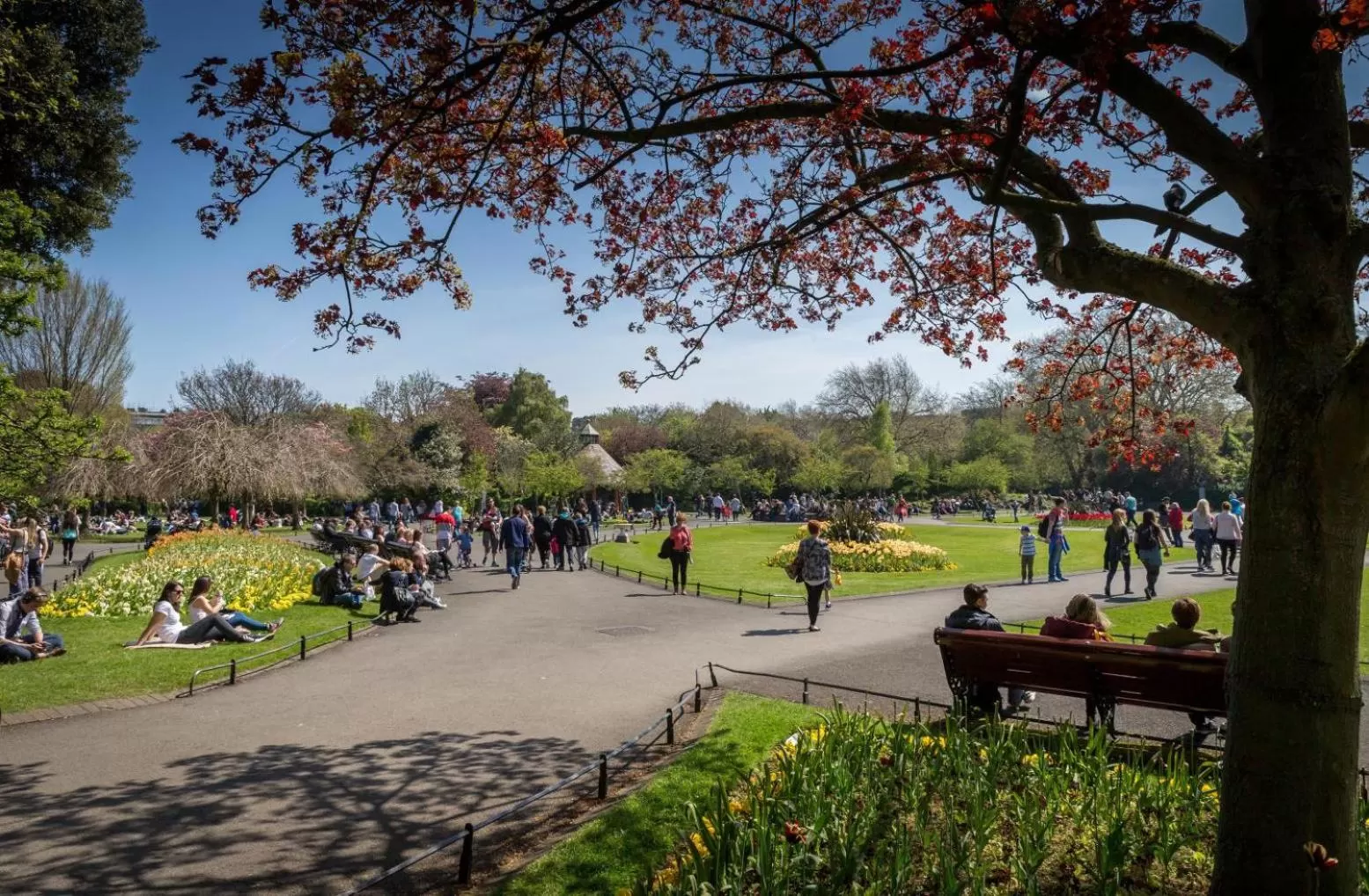 Nearby landmark in Maldron Hotel Kevin Street, Dublin City