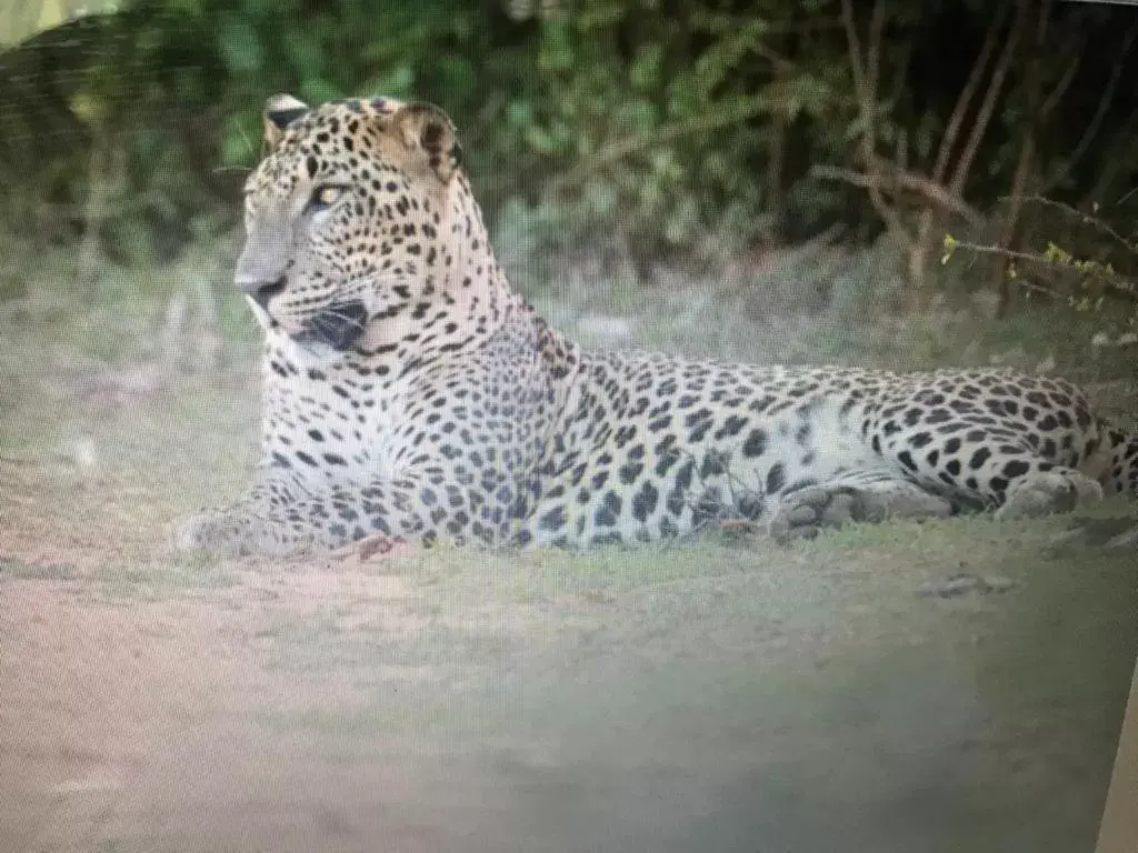 Family Room with Bathroom in Jayasinghe Holiday Resort Family Room with Bathroom in Jayasinghe Holiday Resort