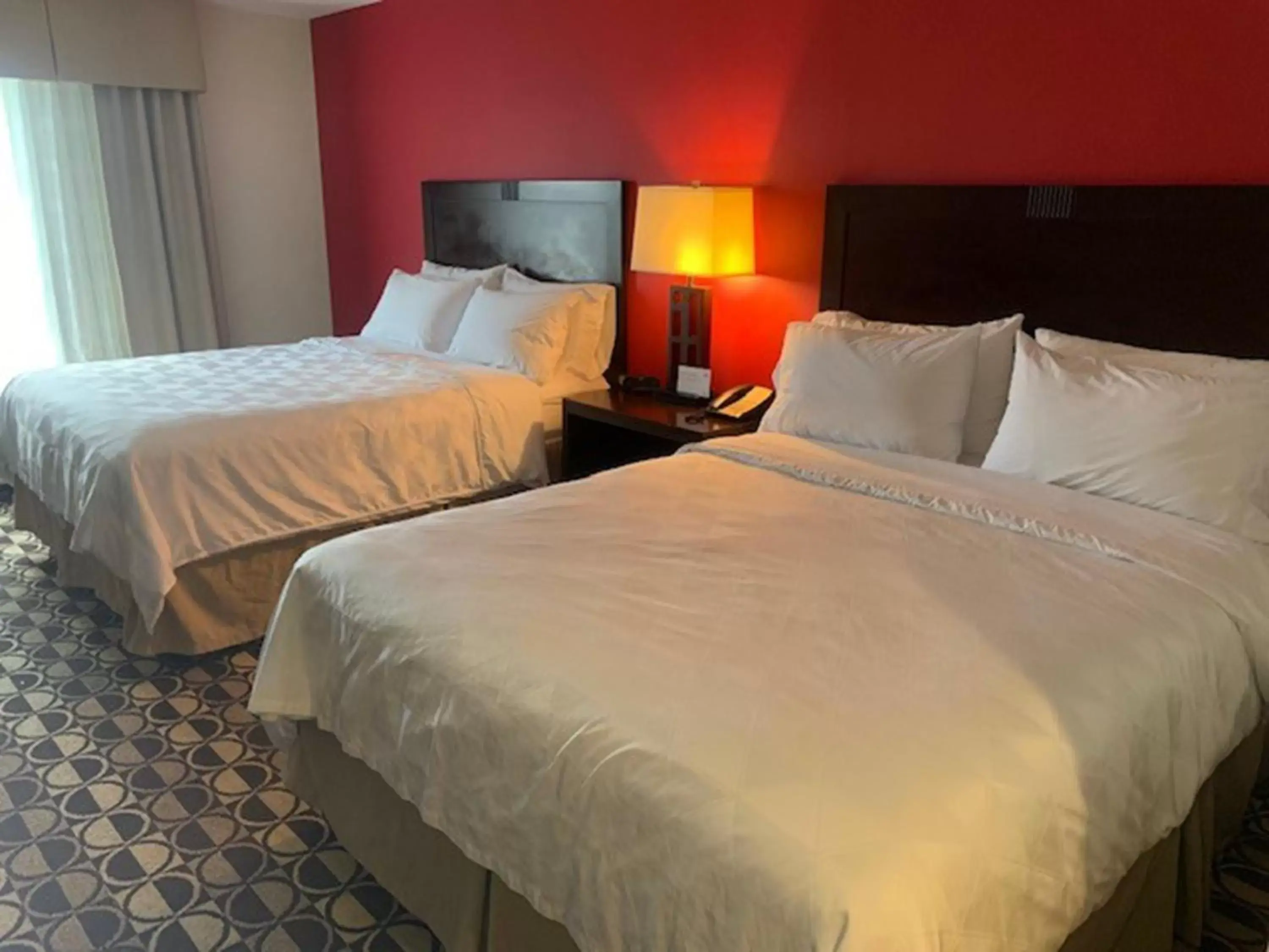 Photo of the whole room, Bed in Holiday Inn Saint Louis-Fairview Heights, an IHG Hotel