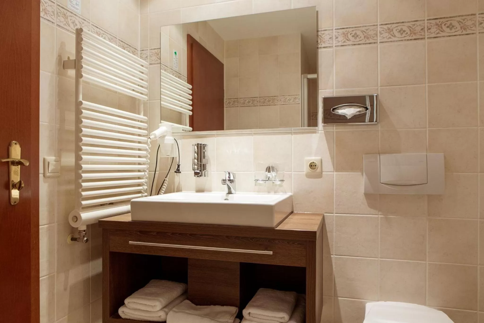 Bathroom in Hotel Ettrich & Elbresort Rathen