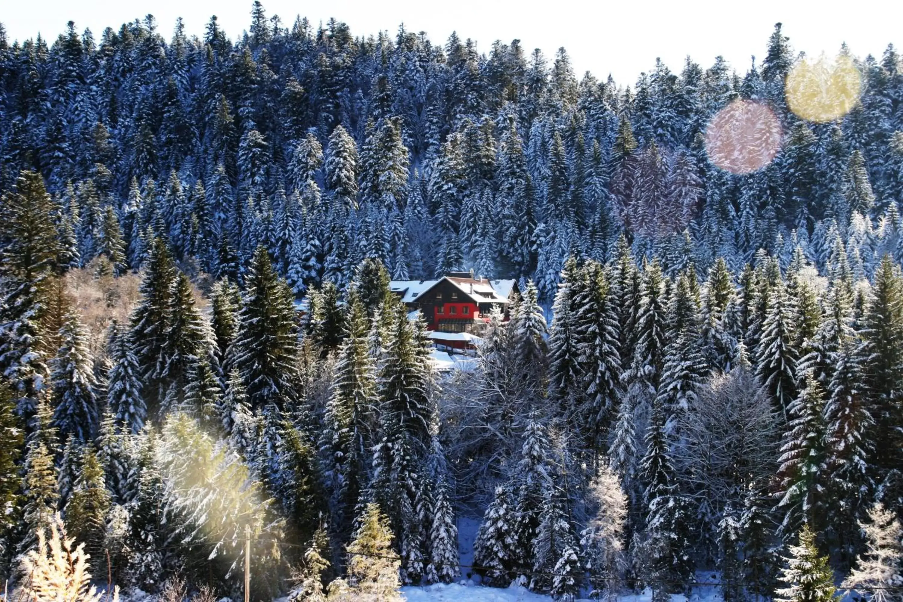 Property building, Winter in Hôtel Restaurant Spa Les Jardins De Sophie