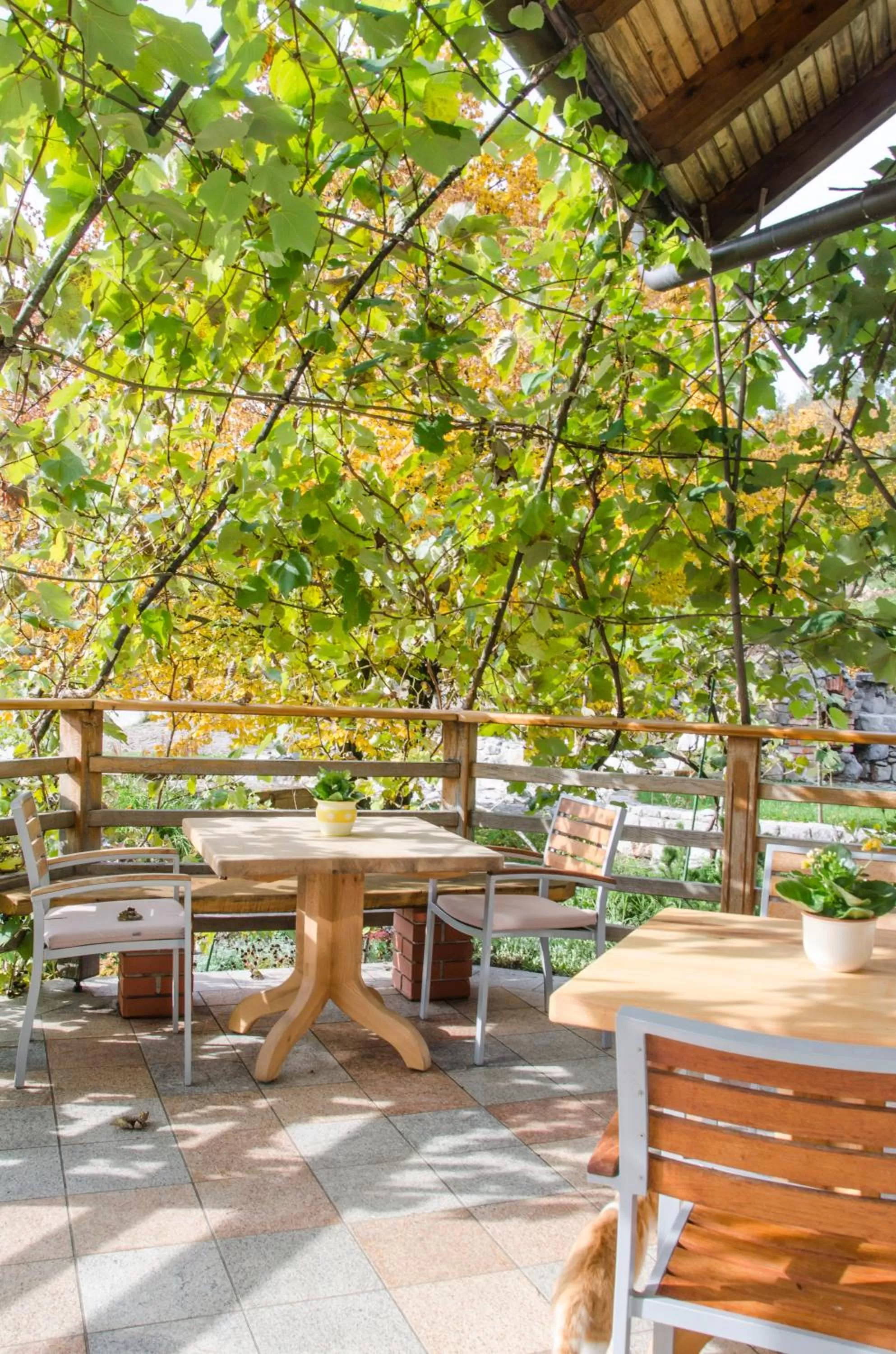 Balcony/Terrace in Miškar Rooms