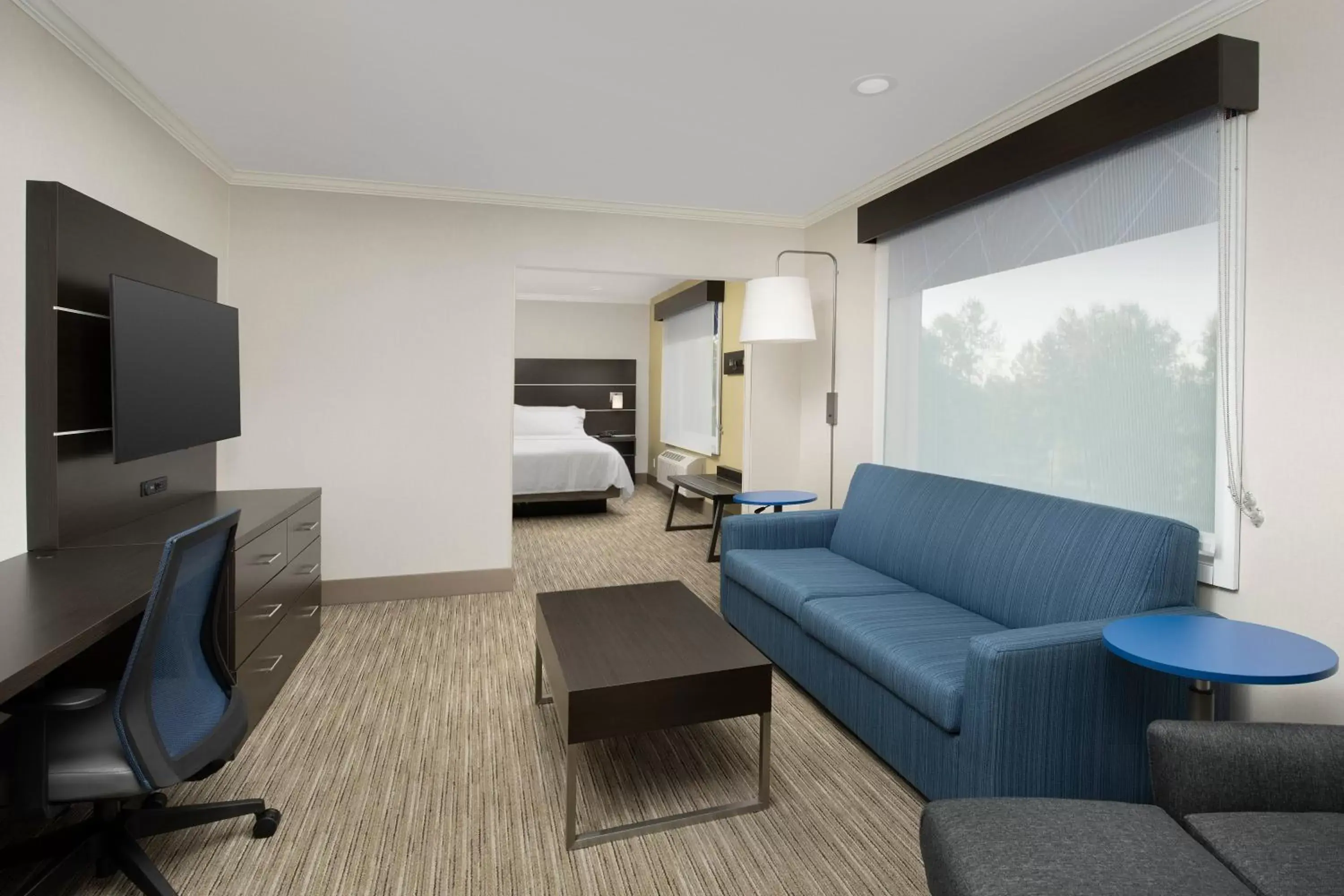 Photo of the whole room, Seating Area in Holiday Inn Express Puyallup, an IHG Hotel