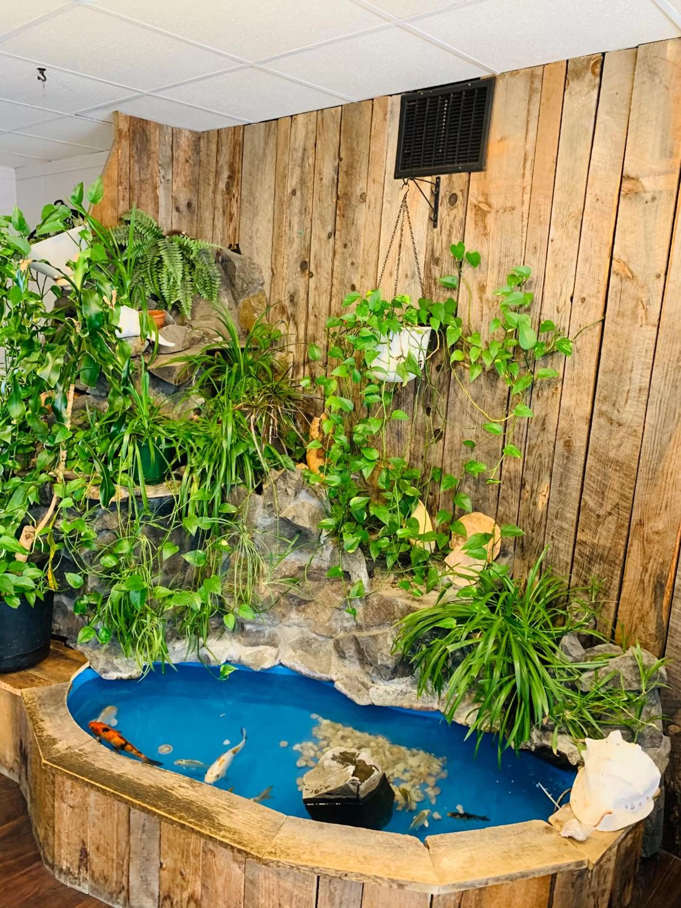 Pool View in Dockside Suites