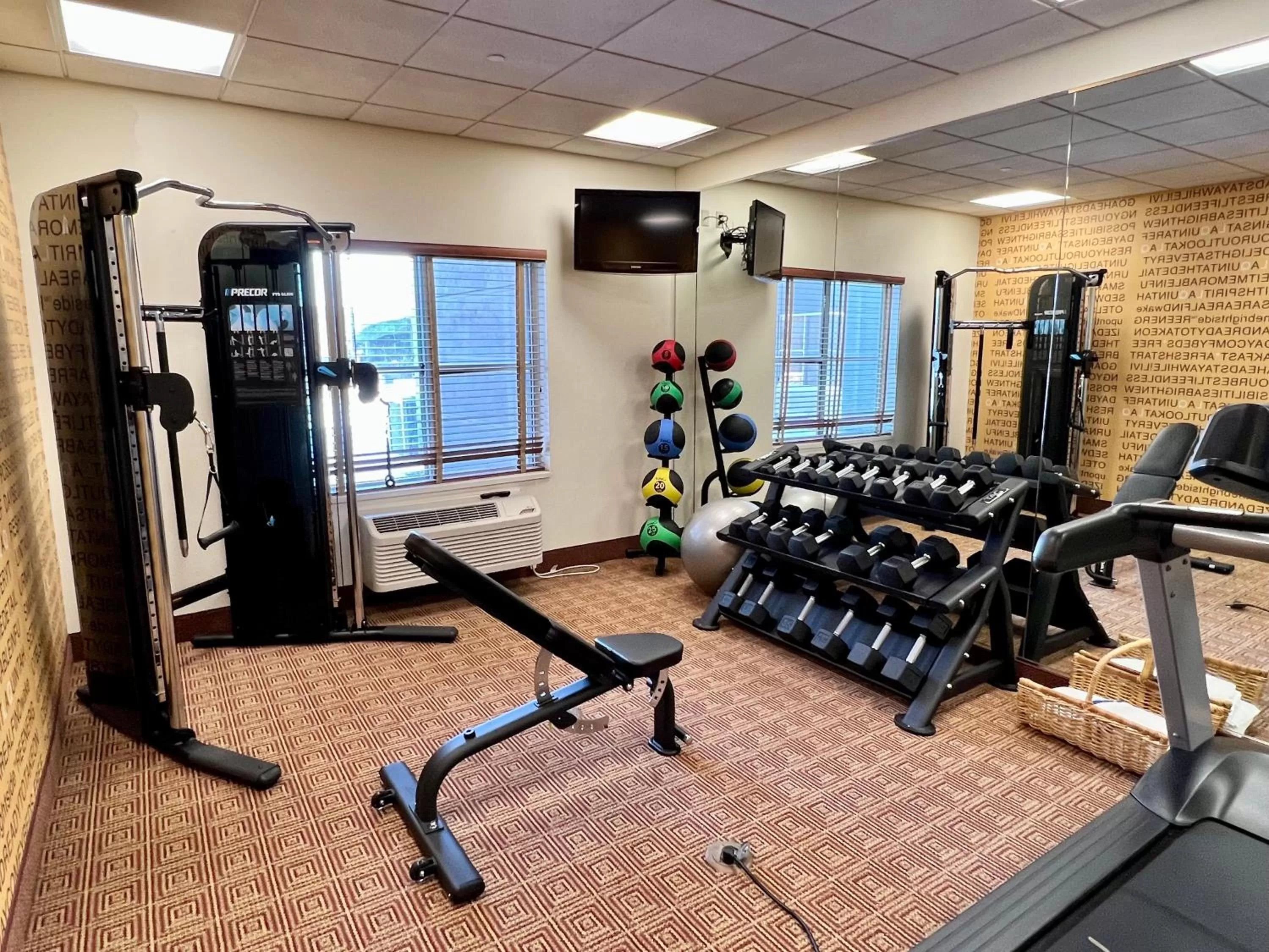 Fitness centre/facilities in La Quinta by Wyndham Bannockburn-Deerfield