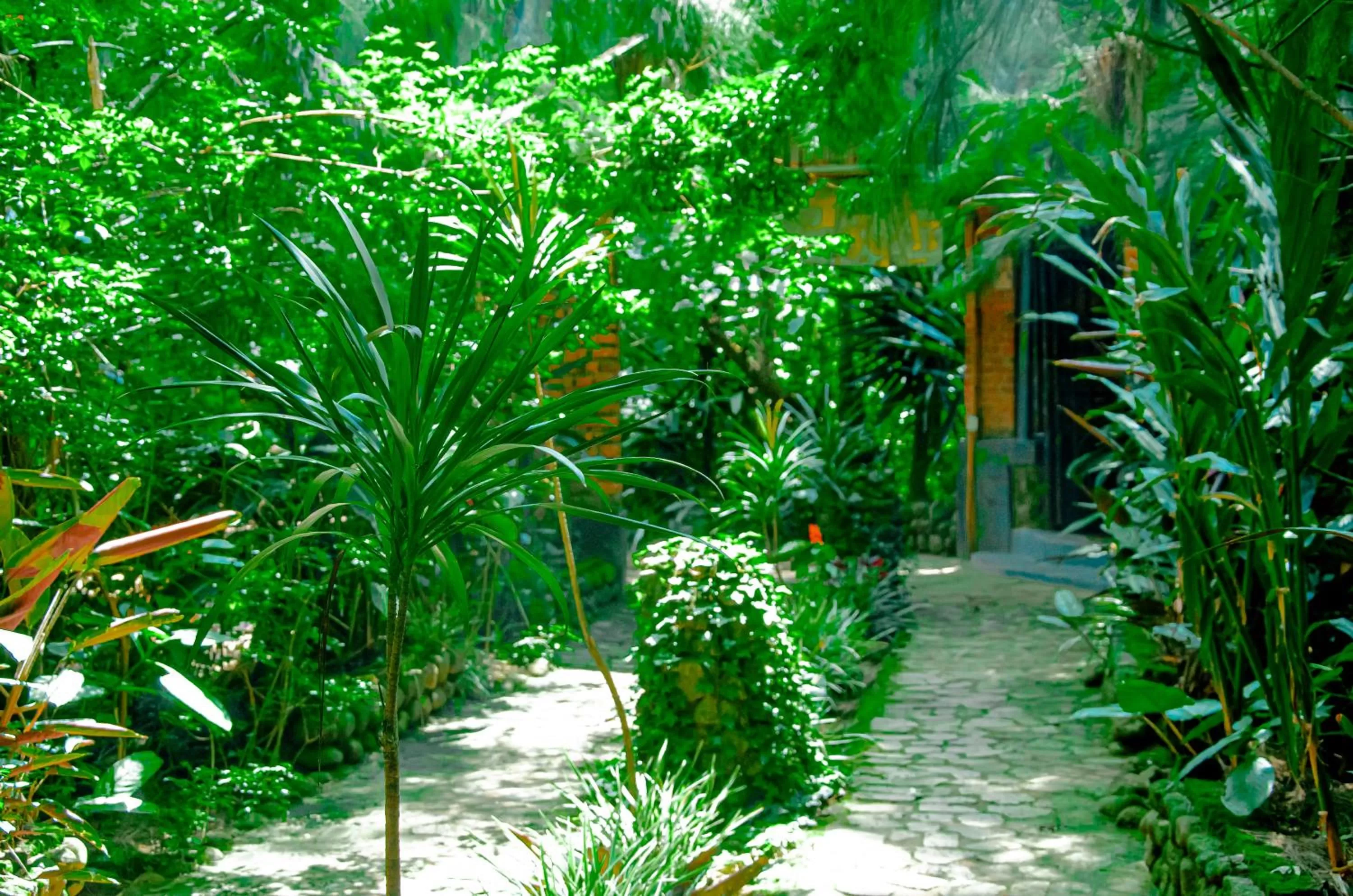 Property building in Fravan Eco Resort By Apogee