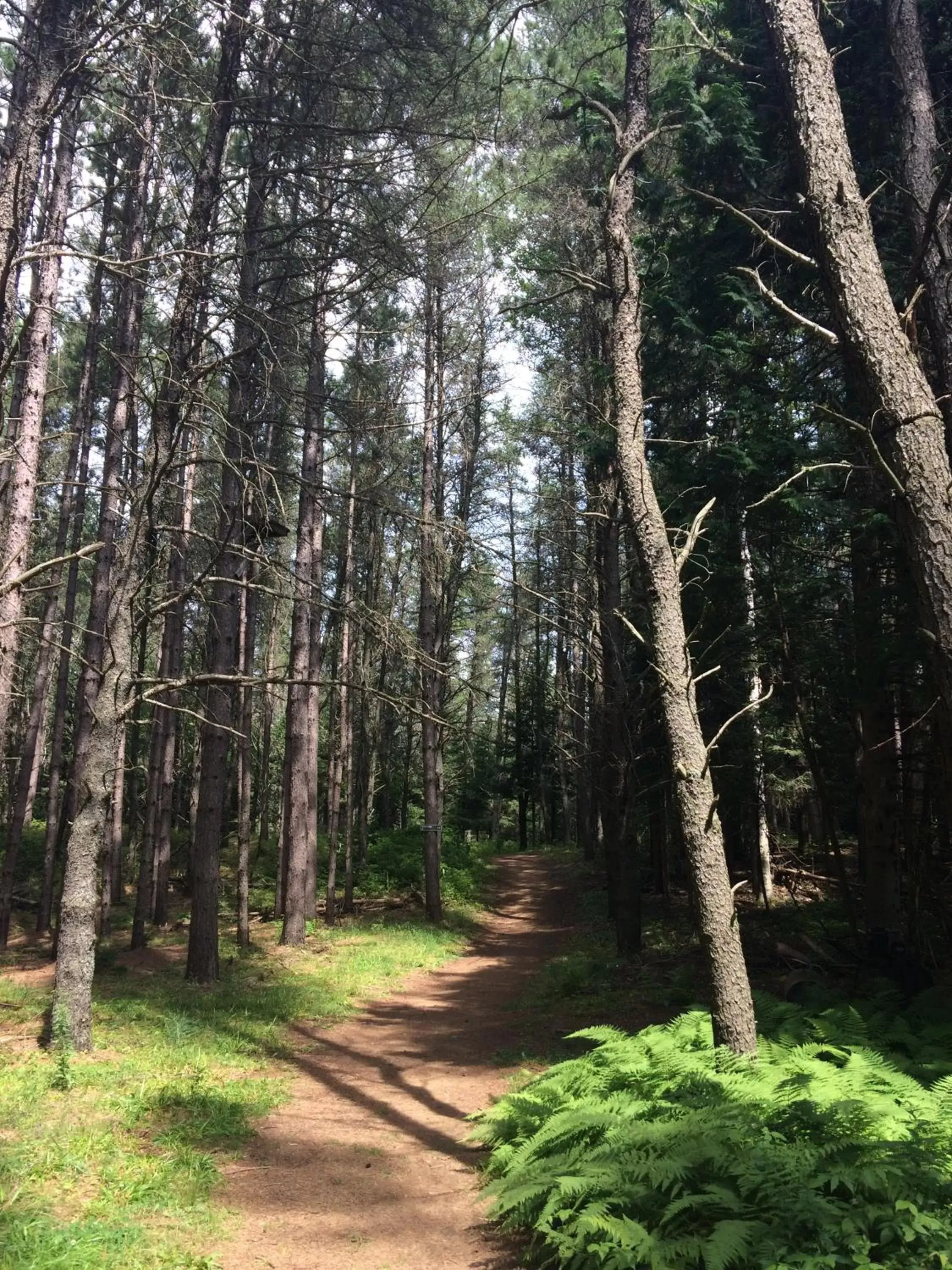 Hiking in Le Grand Lodge Mont Tremblant