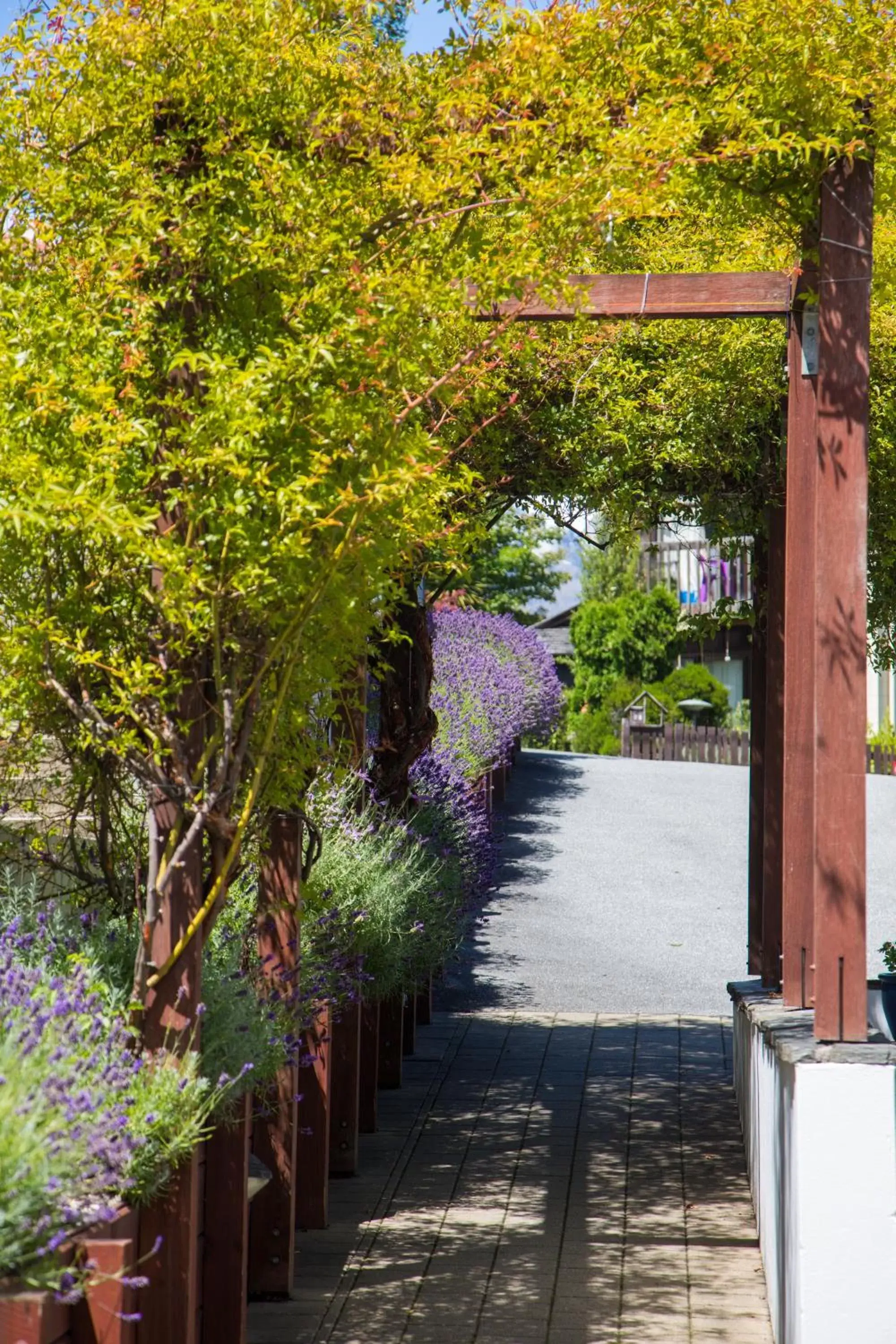 Facade/entrance in The Central Hotel Queenstown, A Naumi Chapter Facade/entrance in The Central Hotel Queenstown, A Naumi Chapter