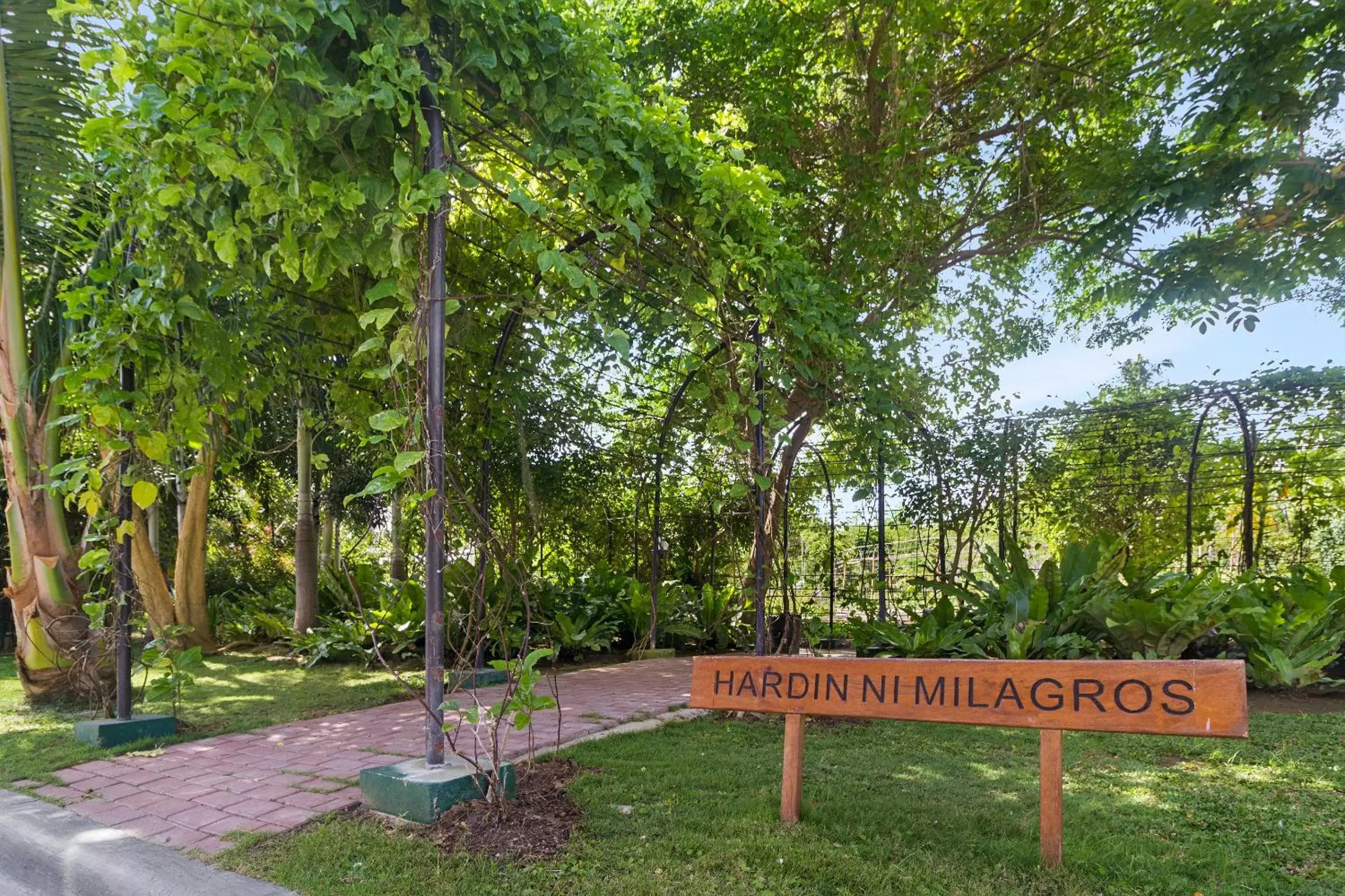 Area and facilities in Kandaya Resort