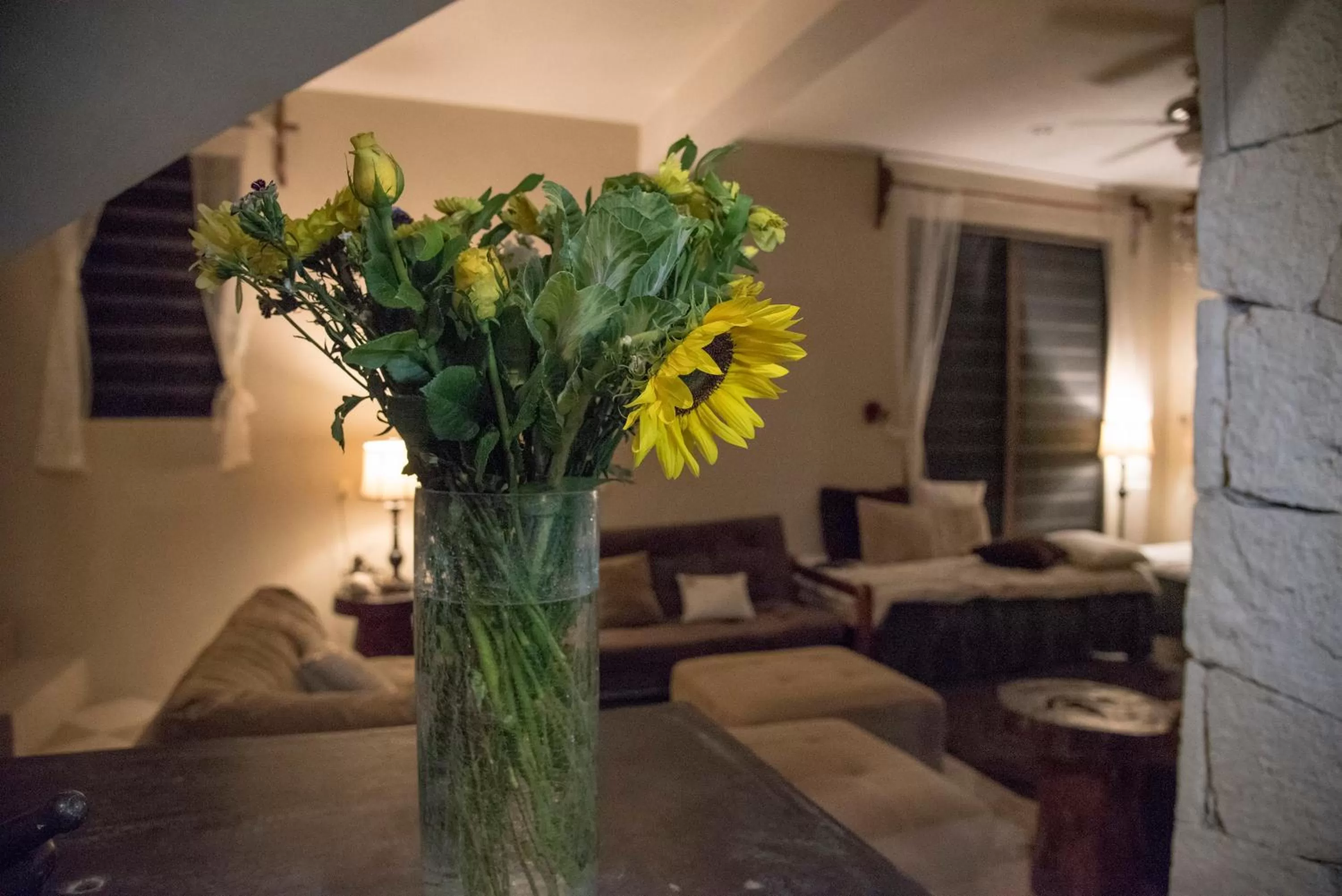 Living room in Hokhmah Heart Hotel