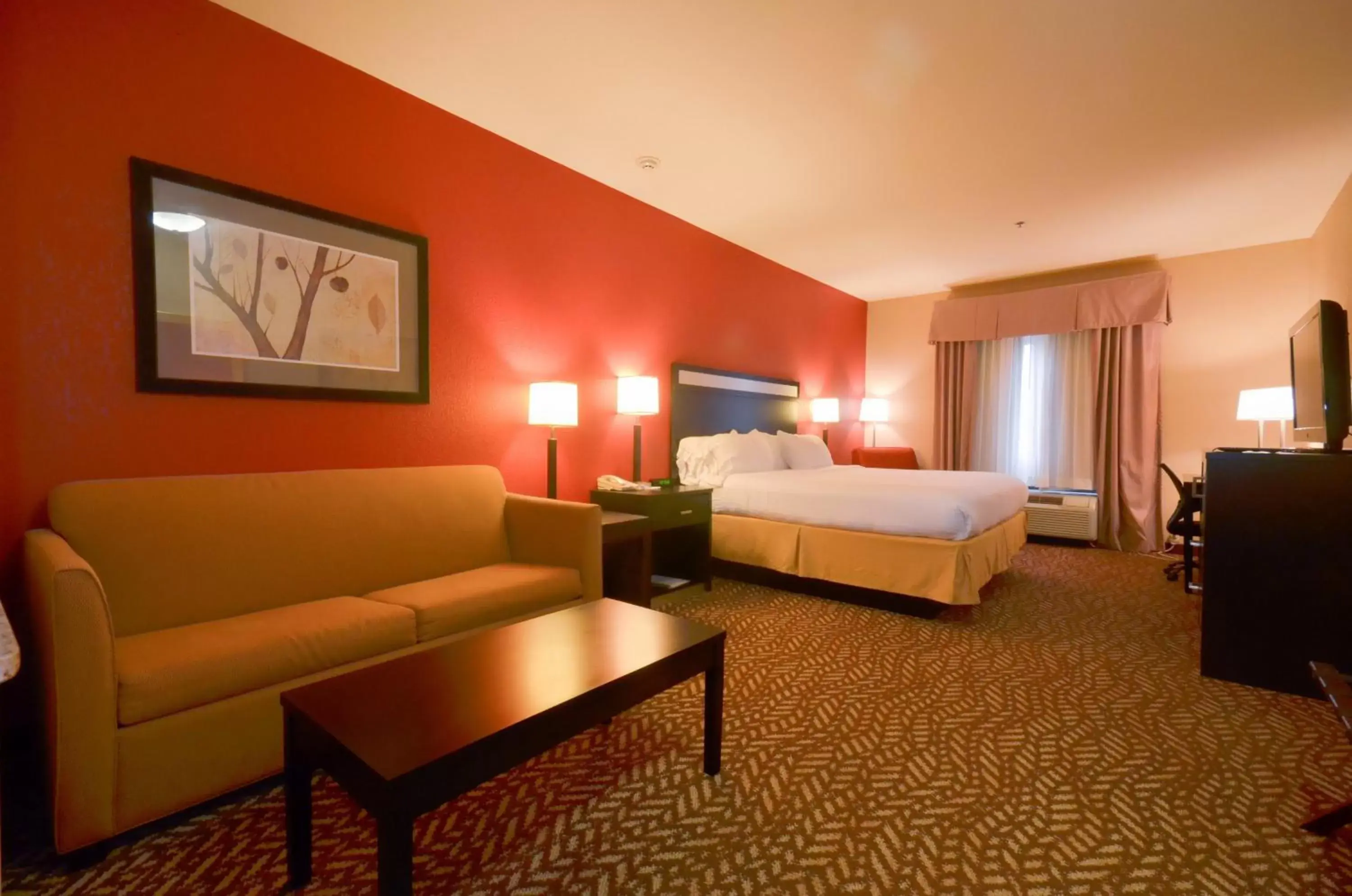 Photo of the whole room in Holiday Inn Express & Suites Pine Bluff/Pines Mall, an IHG Hotel