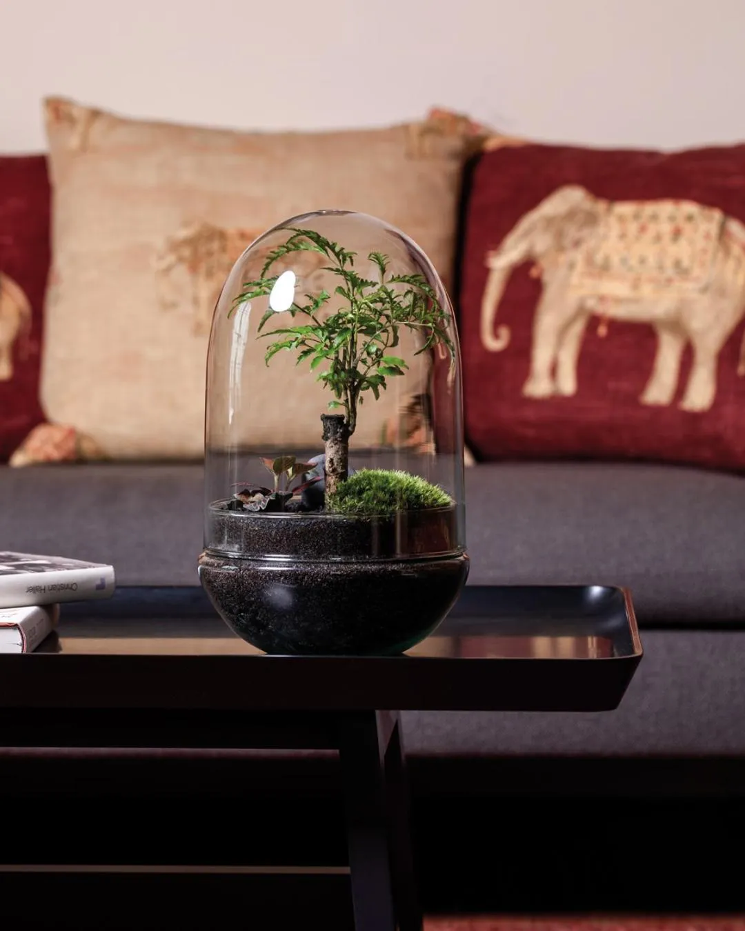 Photo of the whole room in Orania.Berlin