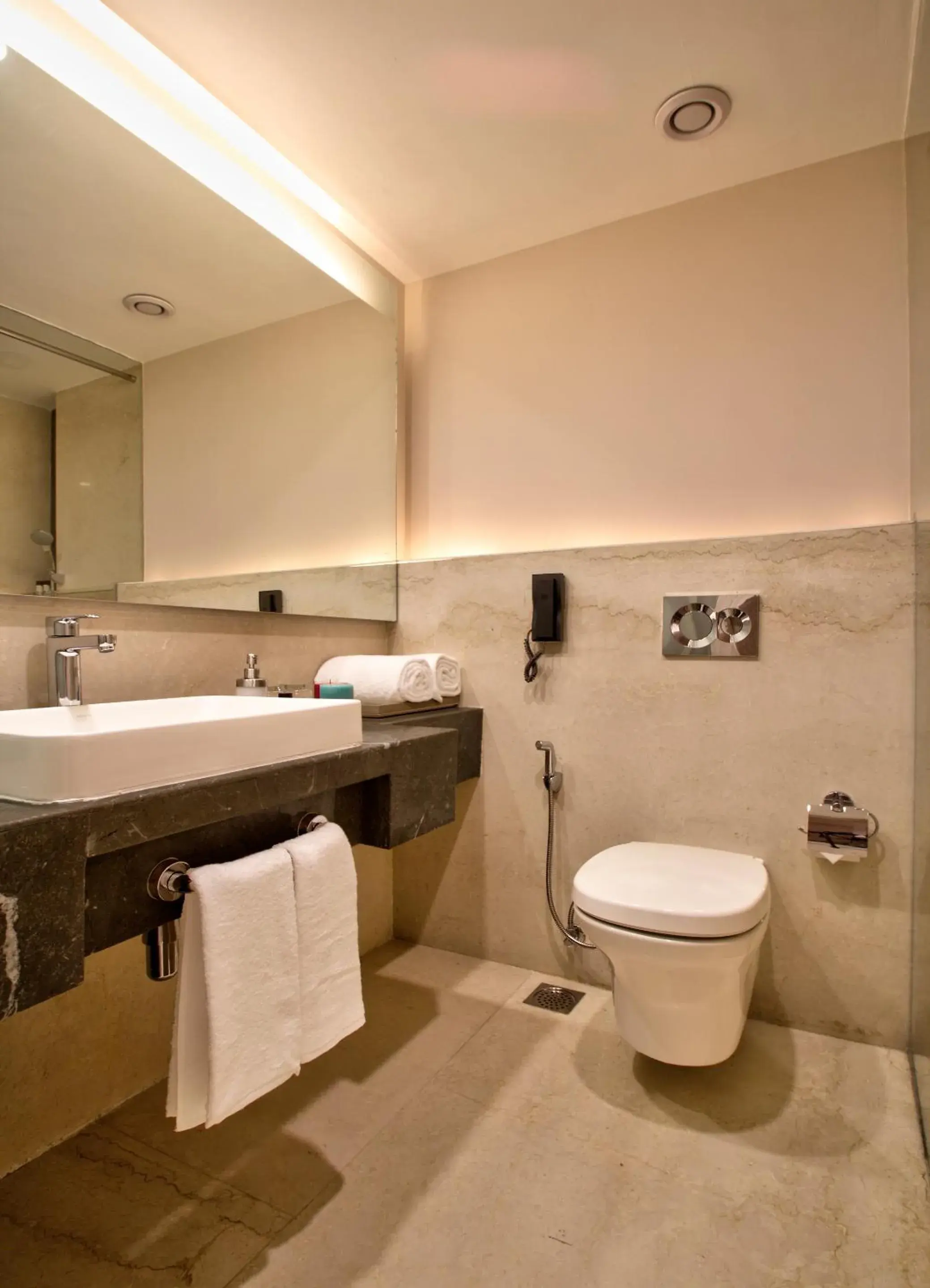 Bathroom in Sarovar Premiere Jaipur