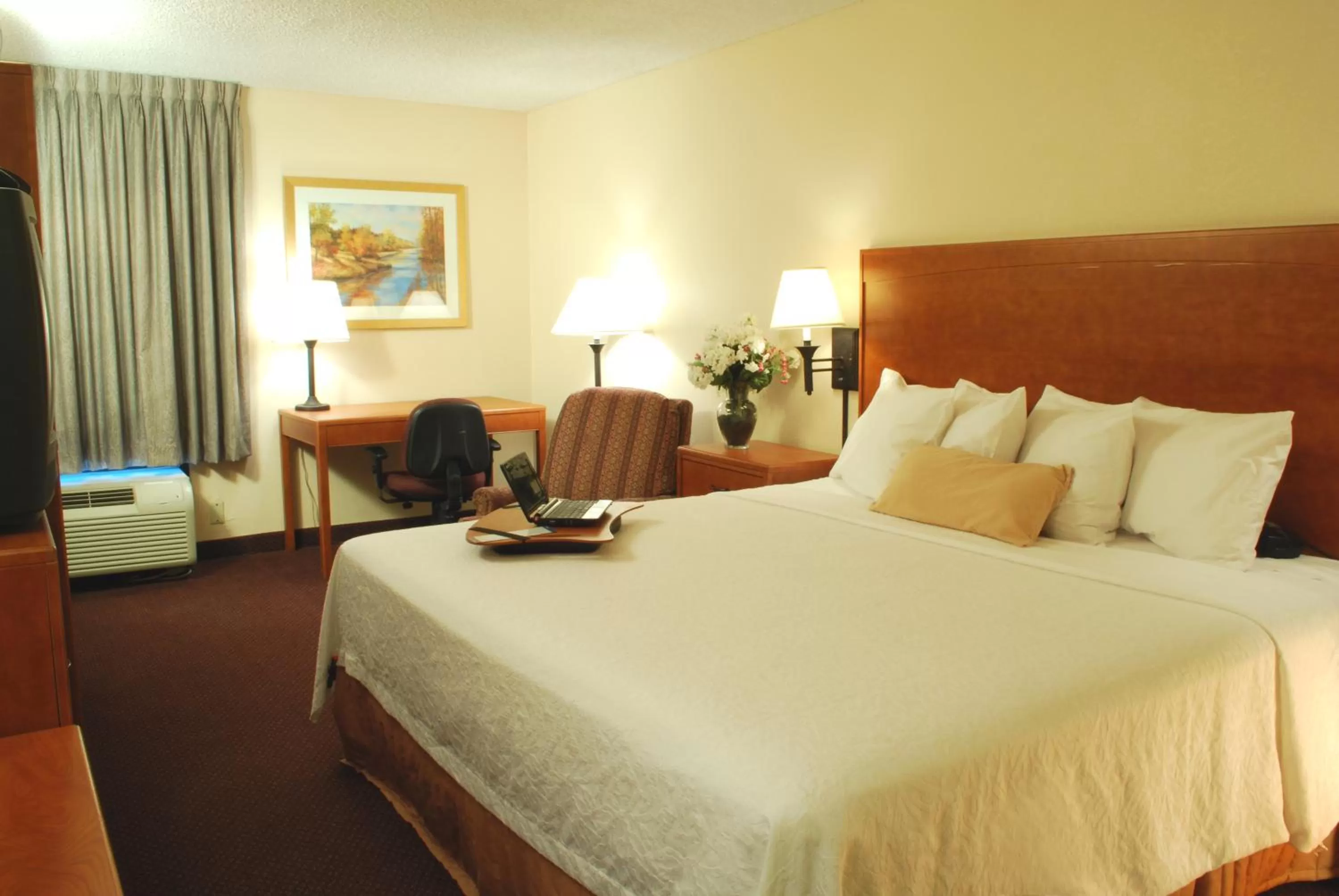 Bed in Hampton Inn Tampa International Airport/Westshore