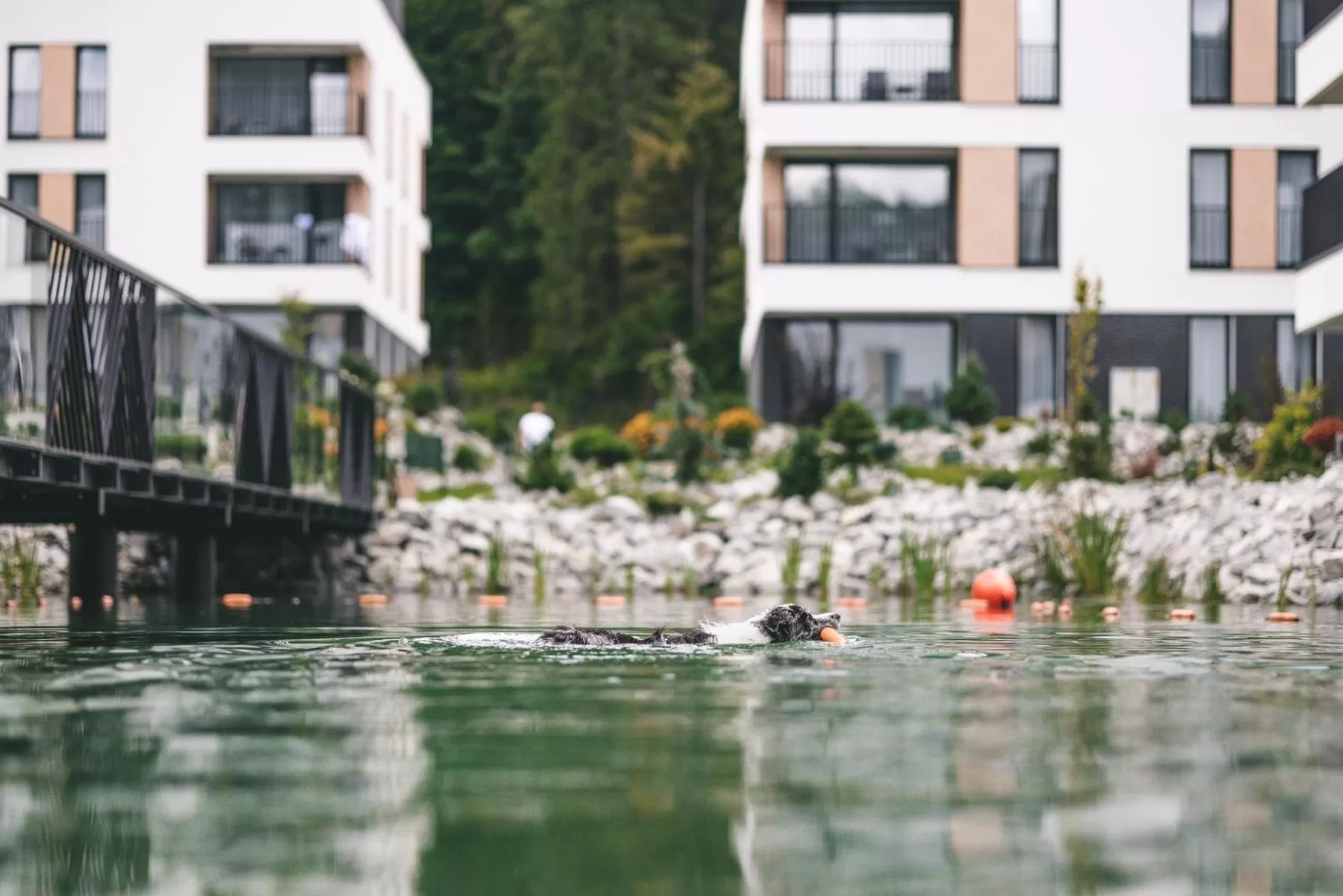 Animals in VISLOW Resort