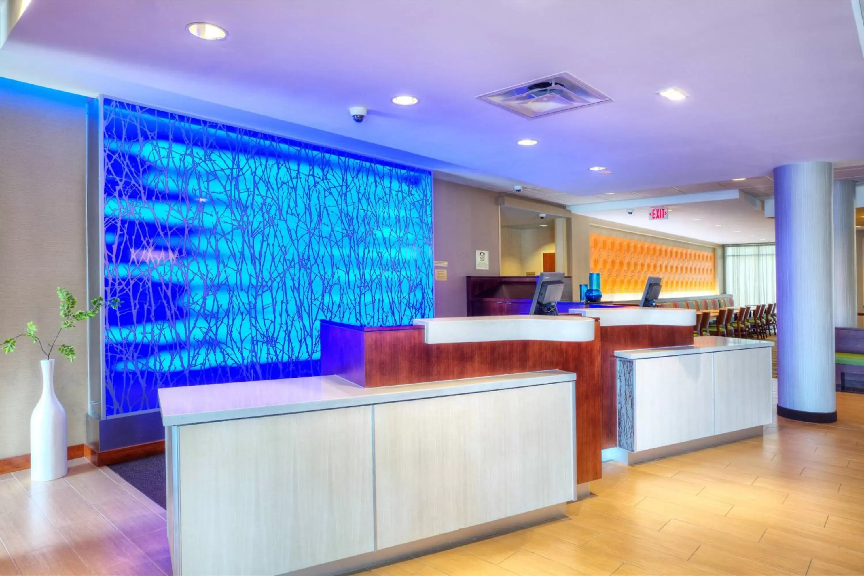 Lobby or reception, Lobby/Reception in Fairfield Inn & Suites by Marriott Austin San Marcos