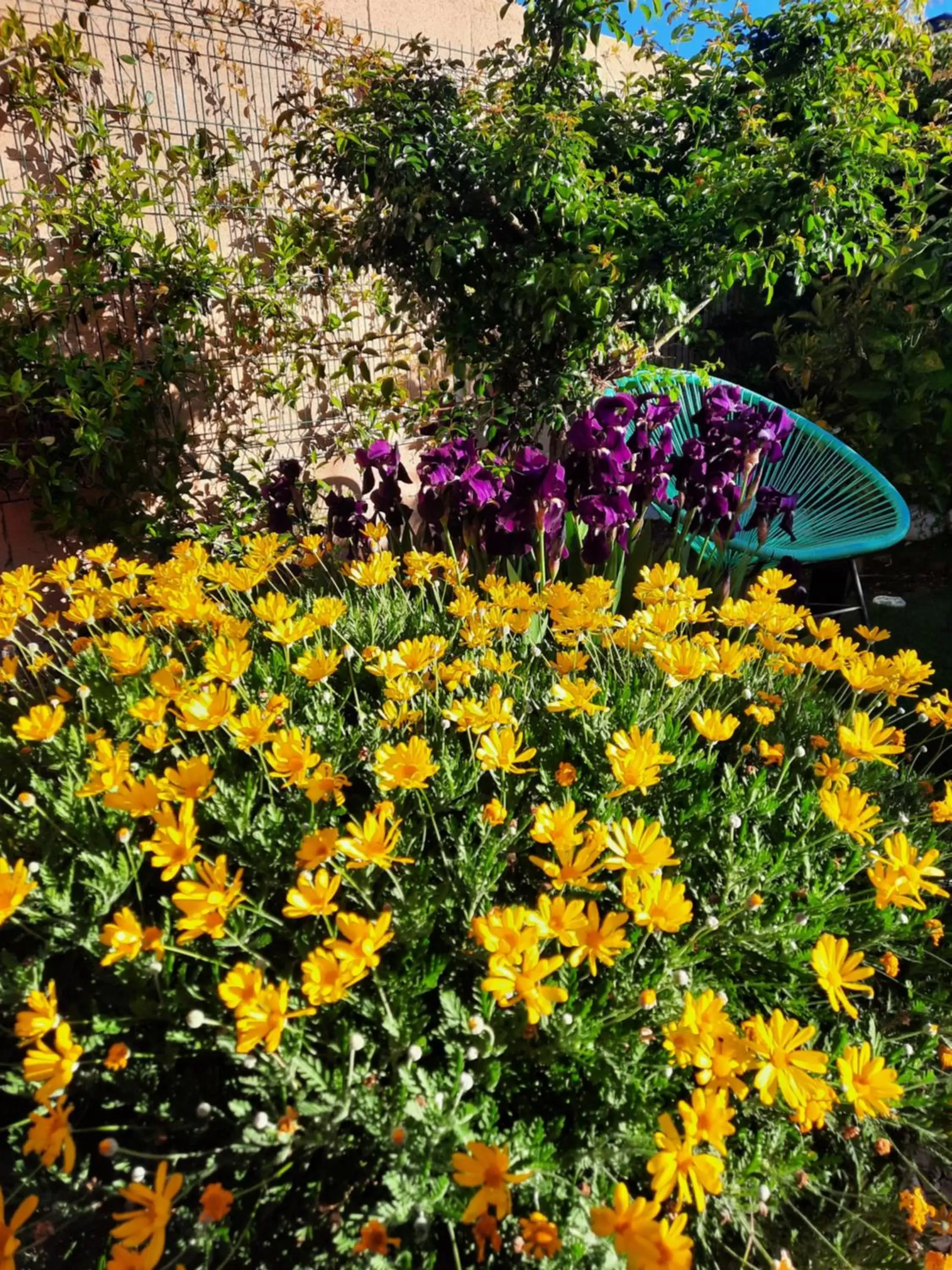 Garden in Chambre d'hôtes dans Villa Diane