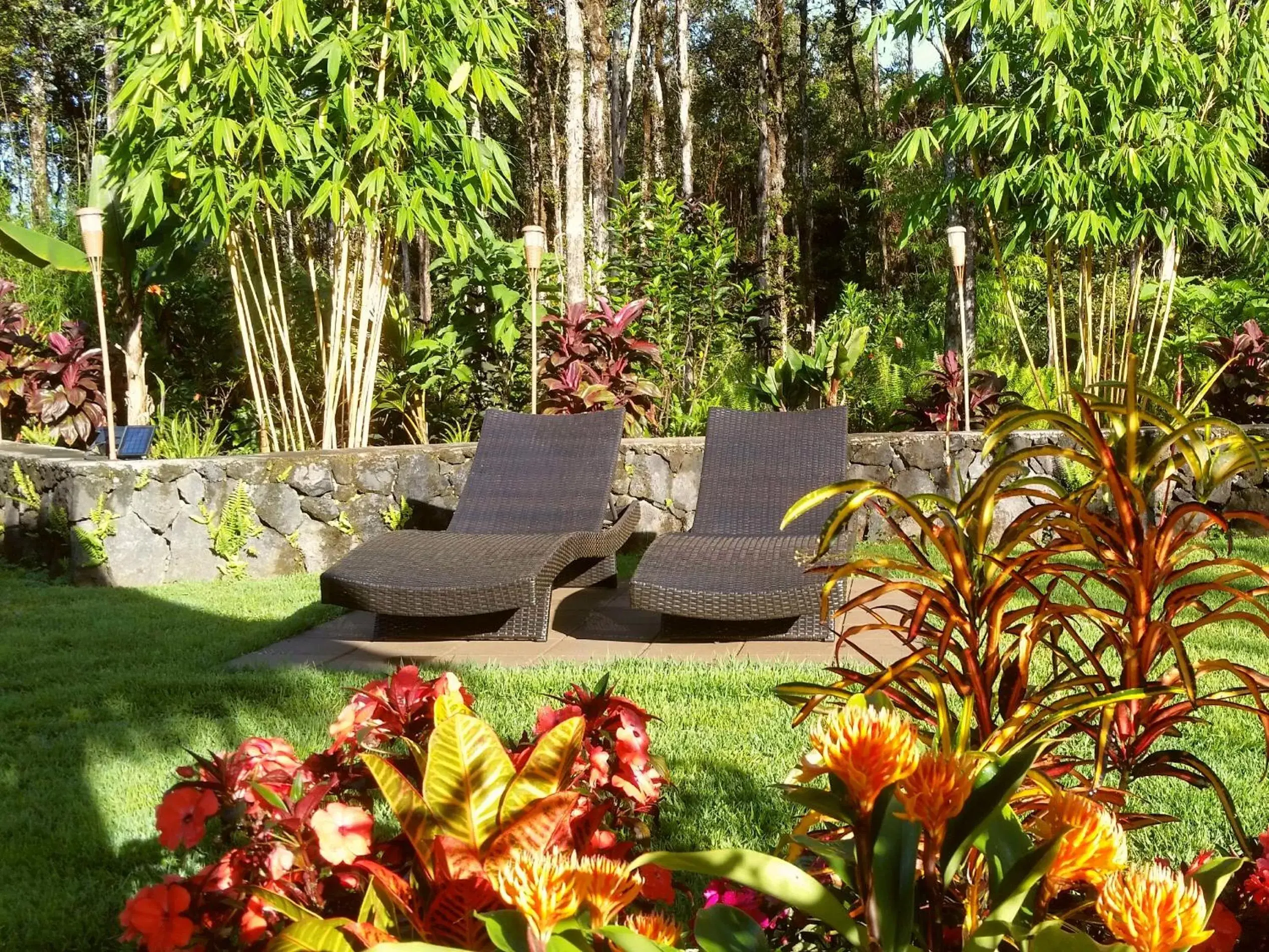 Garden in Volcano Eco Retreat by Heart Core Hotels - Adults Only