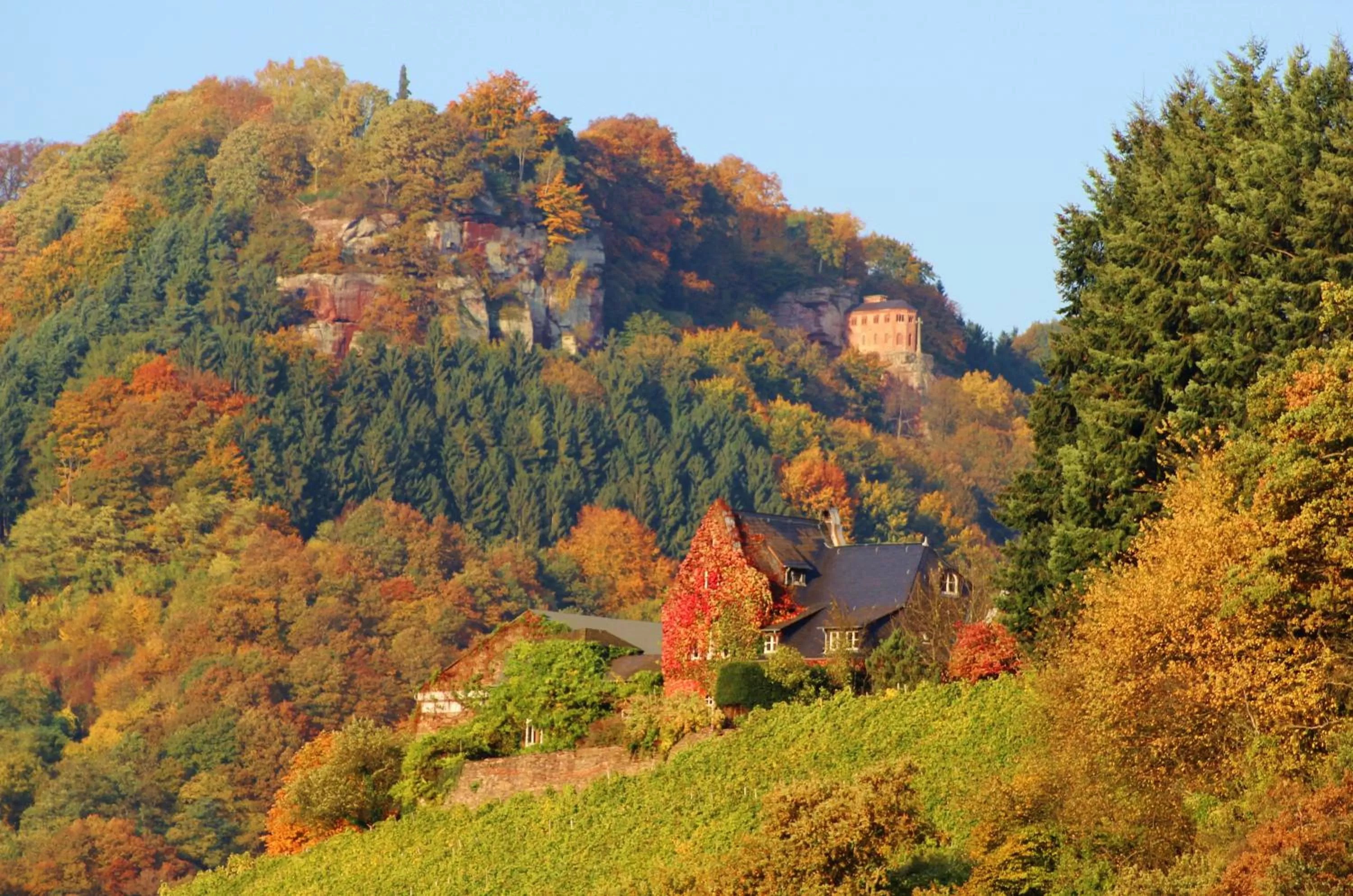 Natural landscape in Hotel am Markt
