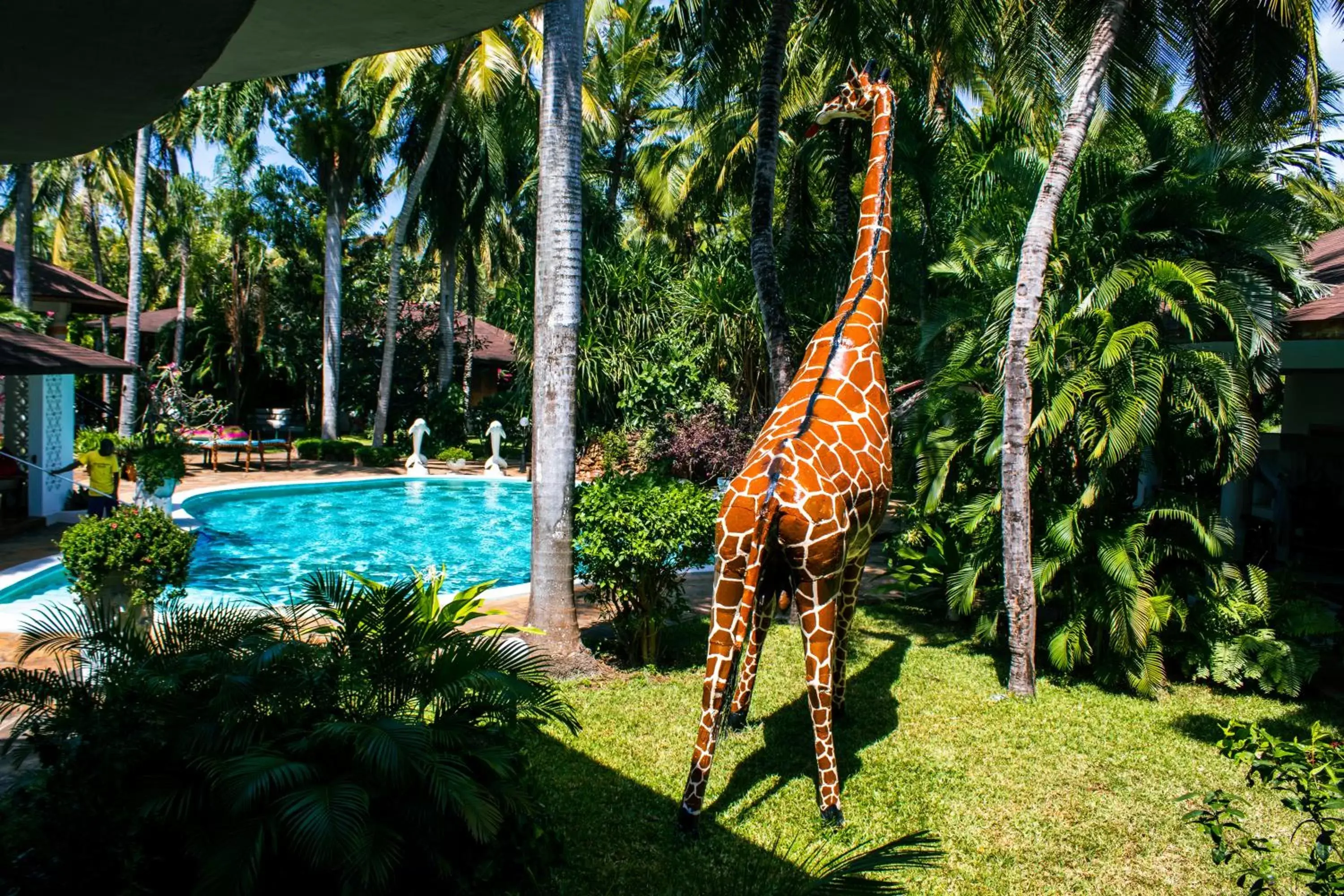 Garden, Swimming Pool in African House Resort