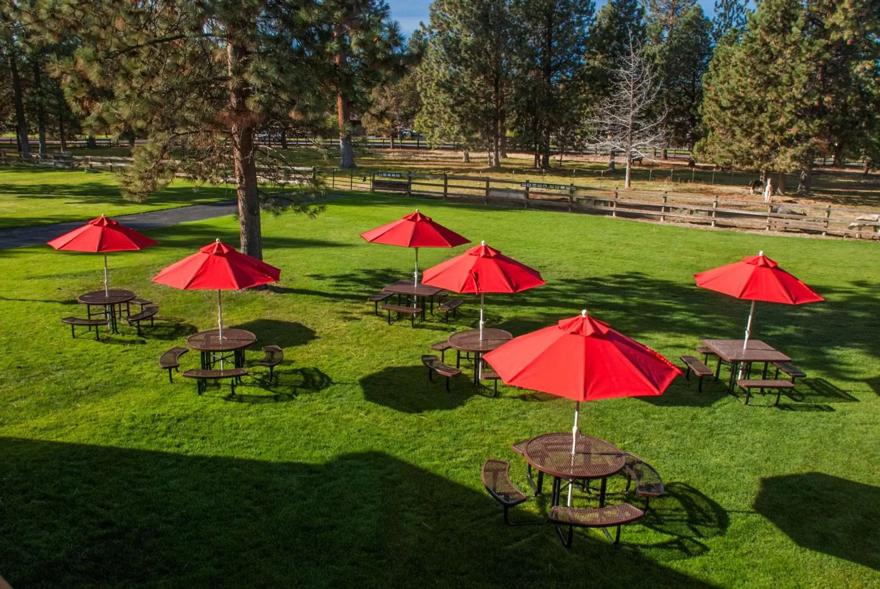 Restaurant/places to eat, Garden in Best Western Ponderosa Lodge