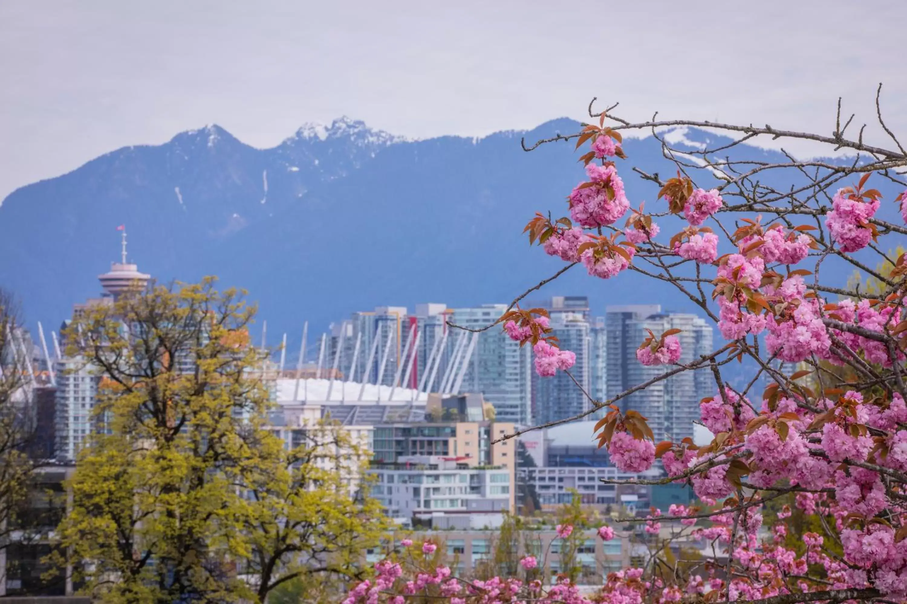 Nearby landmark in Holiday Inn Vancouver Downtown & Suites, an IHG Hotel