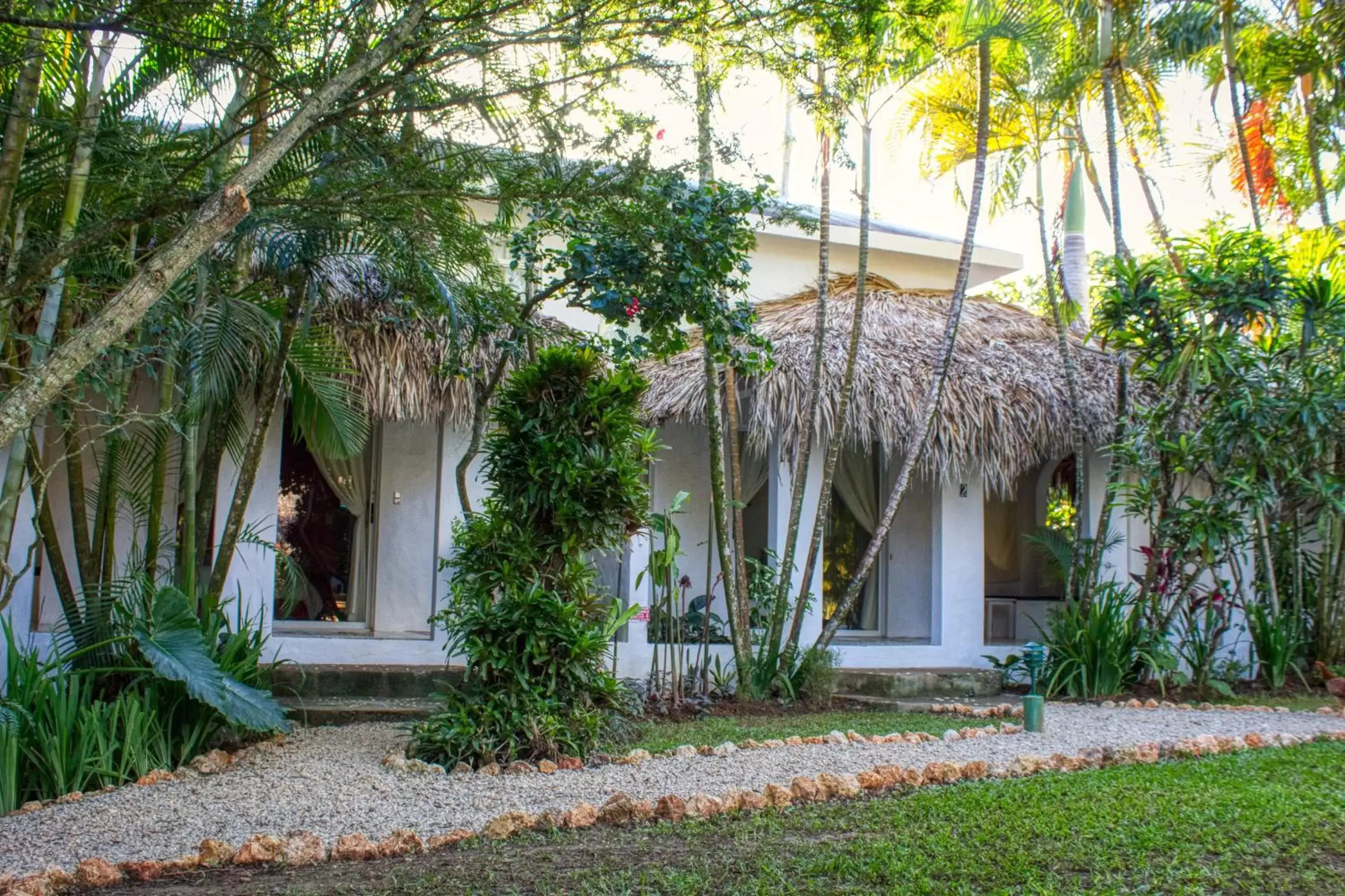 Garden, Property Building in Hotel La Tortuga