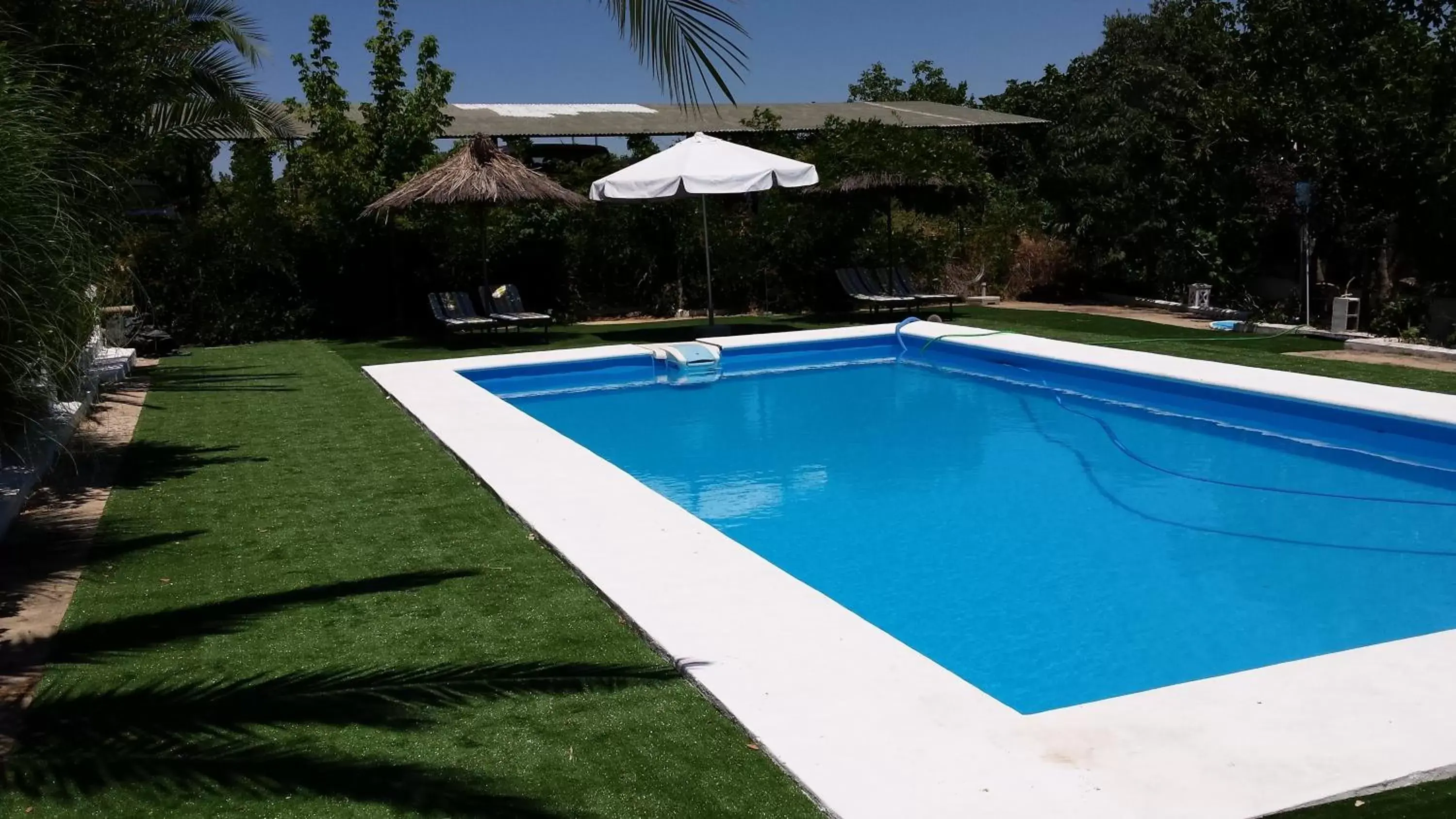 Day, Swimming Pool in Apartamentos Turísticos - Hostal Los Alisos
