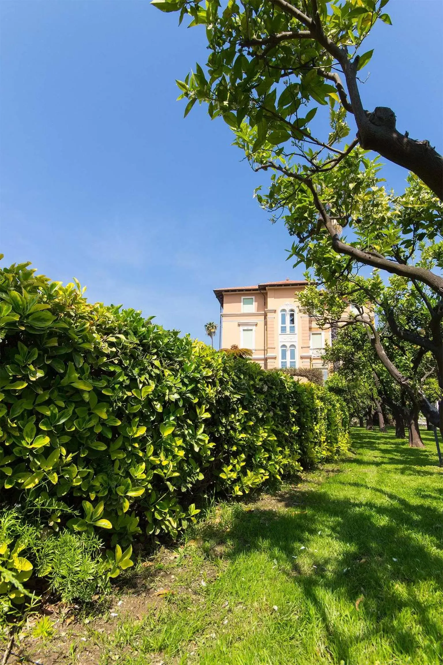 Natural landscape, Property Building in Hotel Villa San Giuseppe