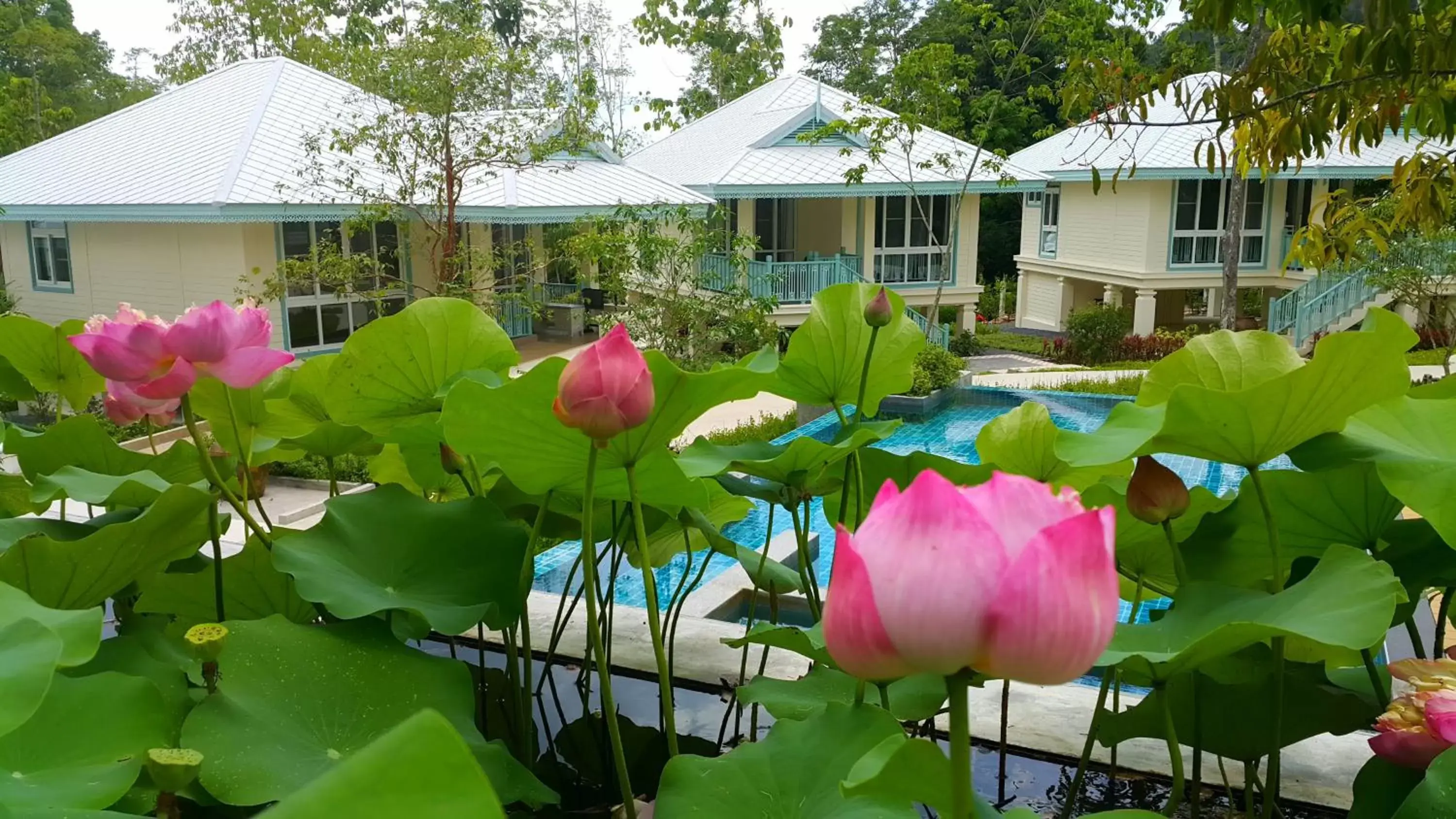 Property building, Garden in Na Sook Resort