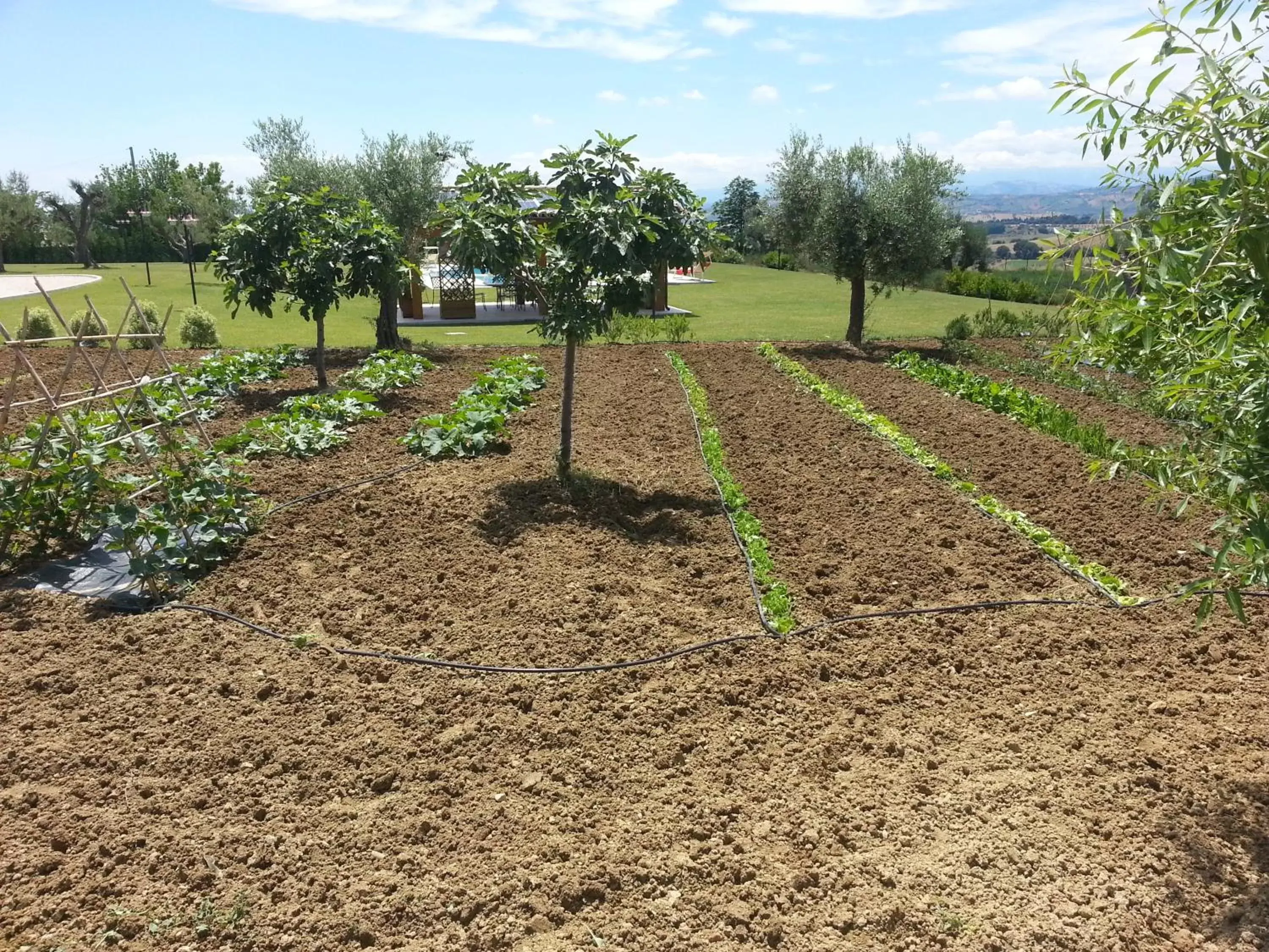 Garden in Residence Colle Veroni