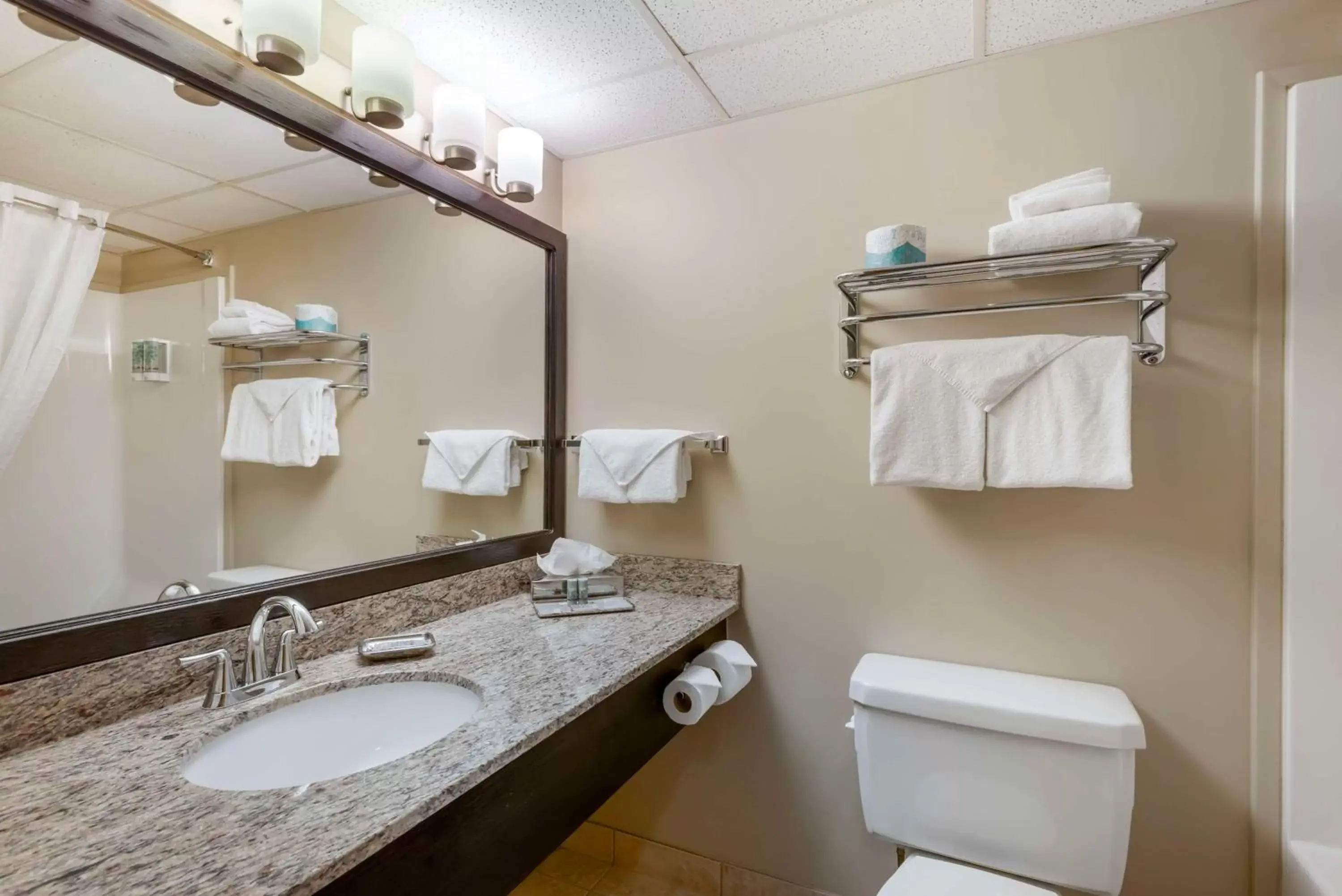 Bathroom in Best Western Rocky Mountain House