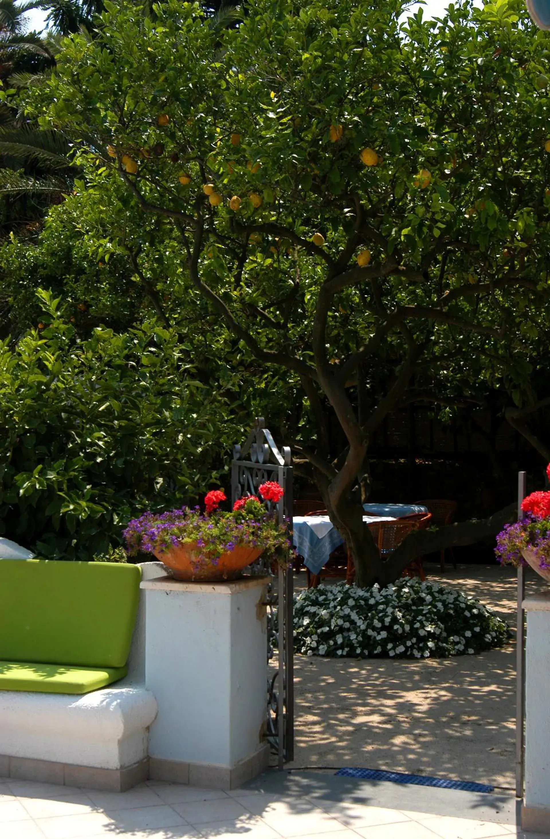 Garden in Hotel San Felice