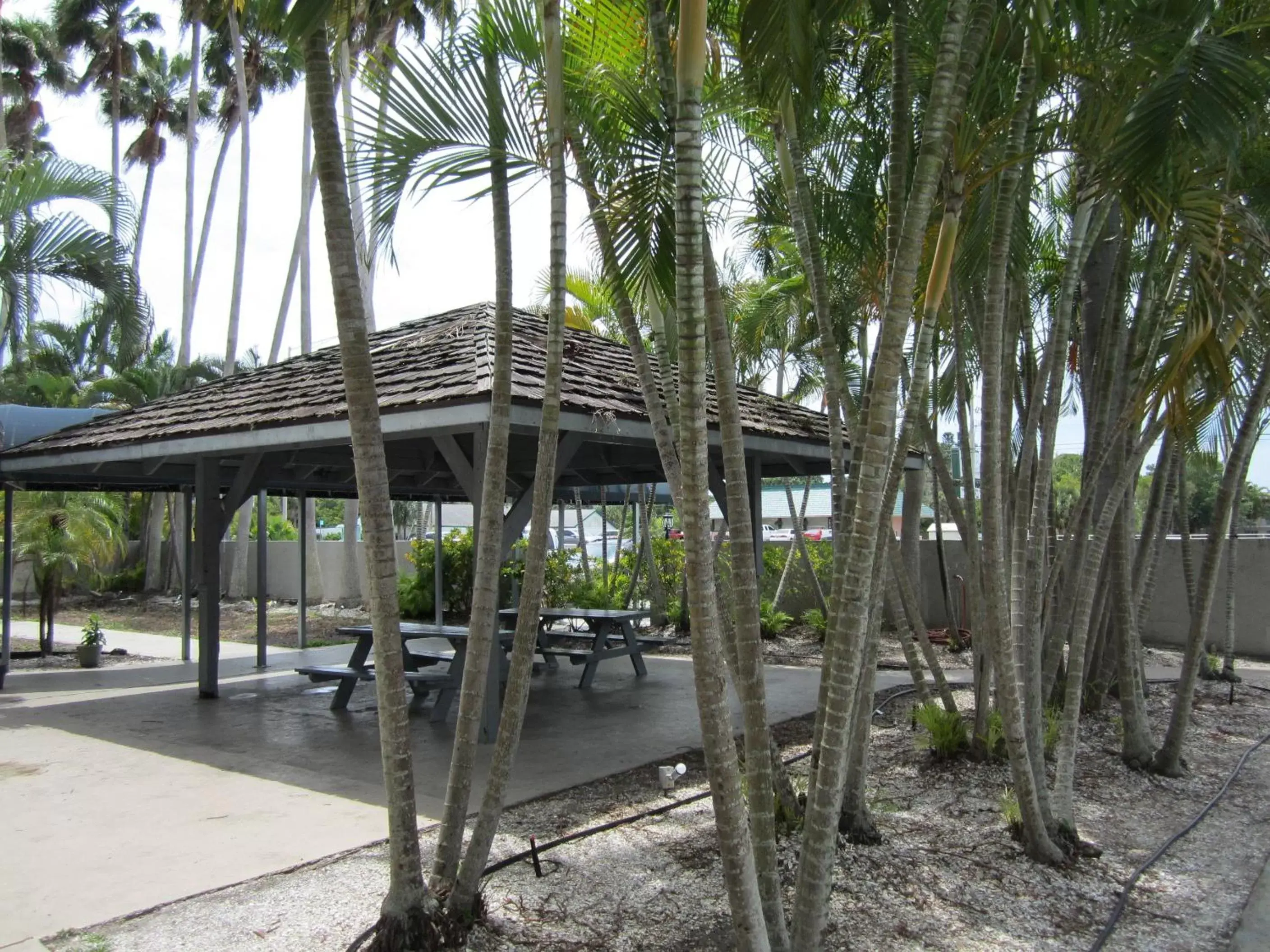 Patio, Property Building in Lantern Inn & Suites - Sarasota