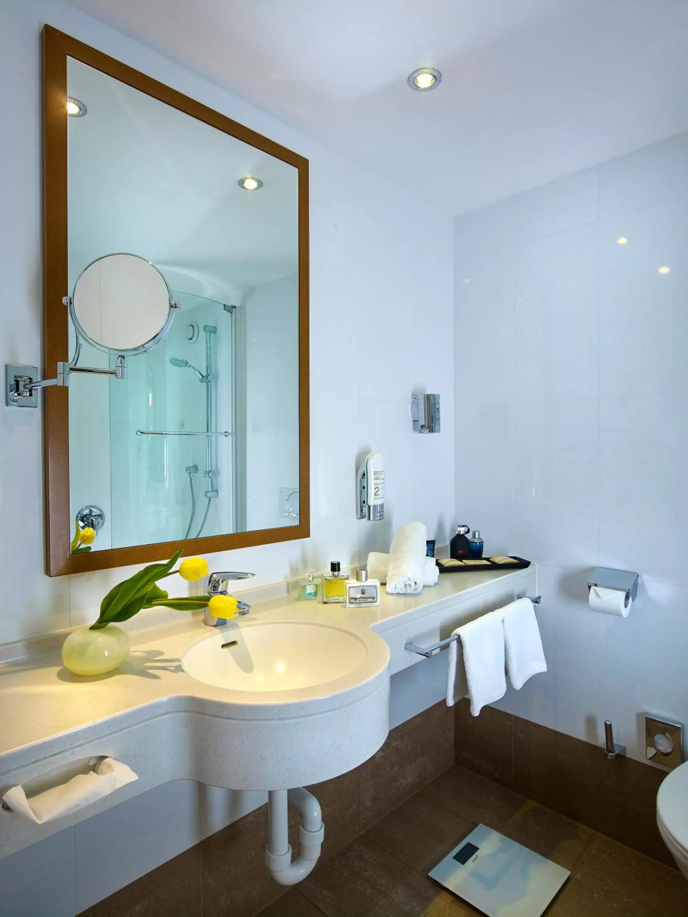 Bathroom in Hotel Innsbruck