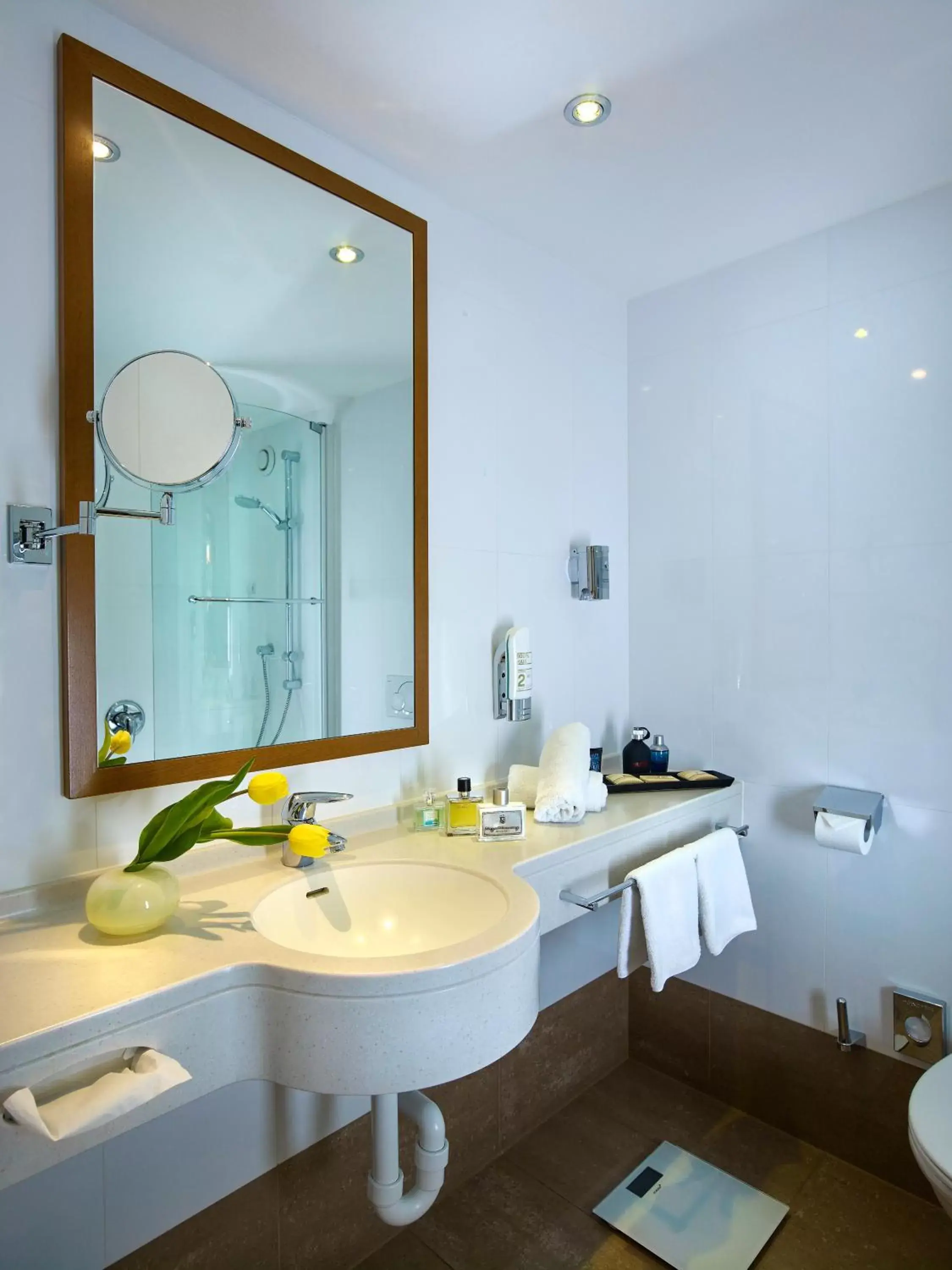 Bathroom in Hotel Innsbruck