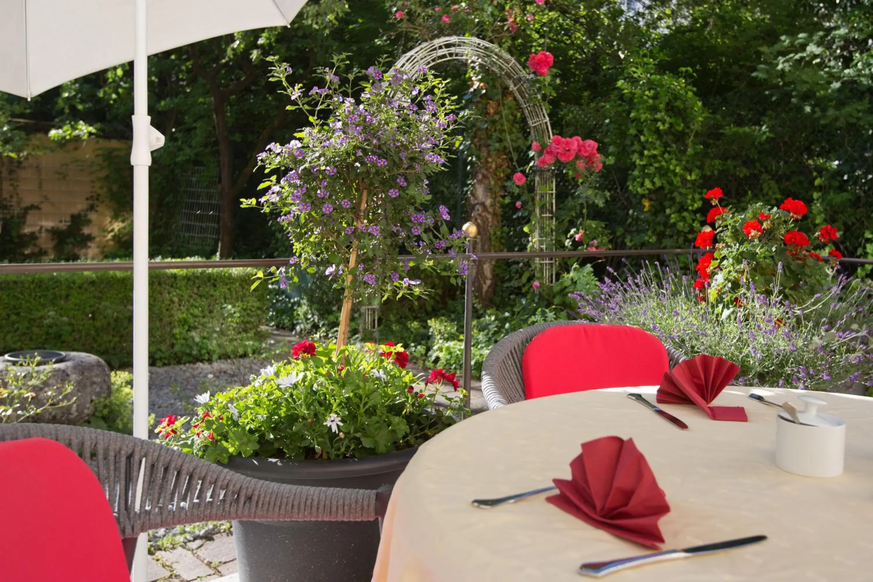 Garden, Restaurant/Places to Eat in Aurbacher Hotel