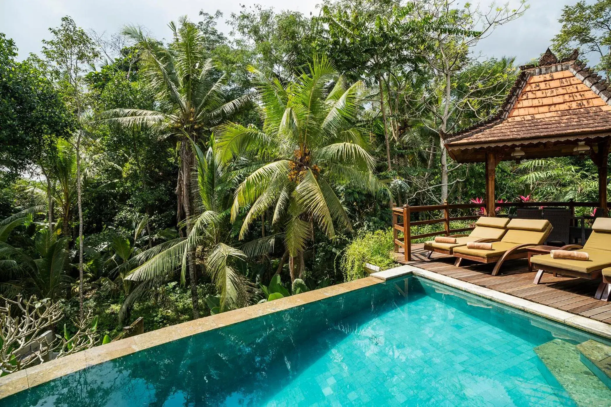 Garden view, Swimming Pool in Aryaswara Villa Ubud