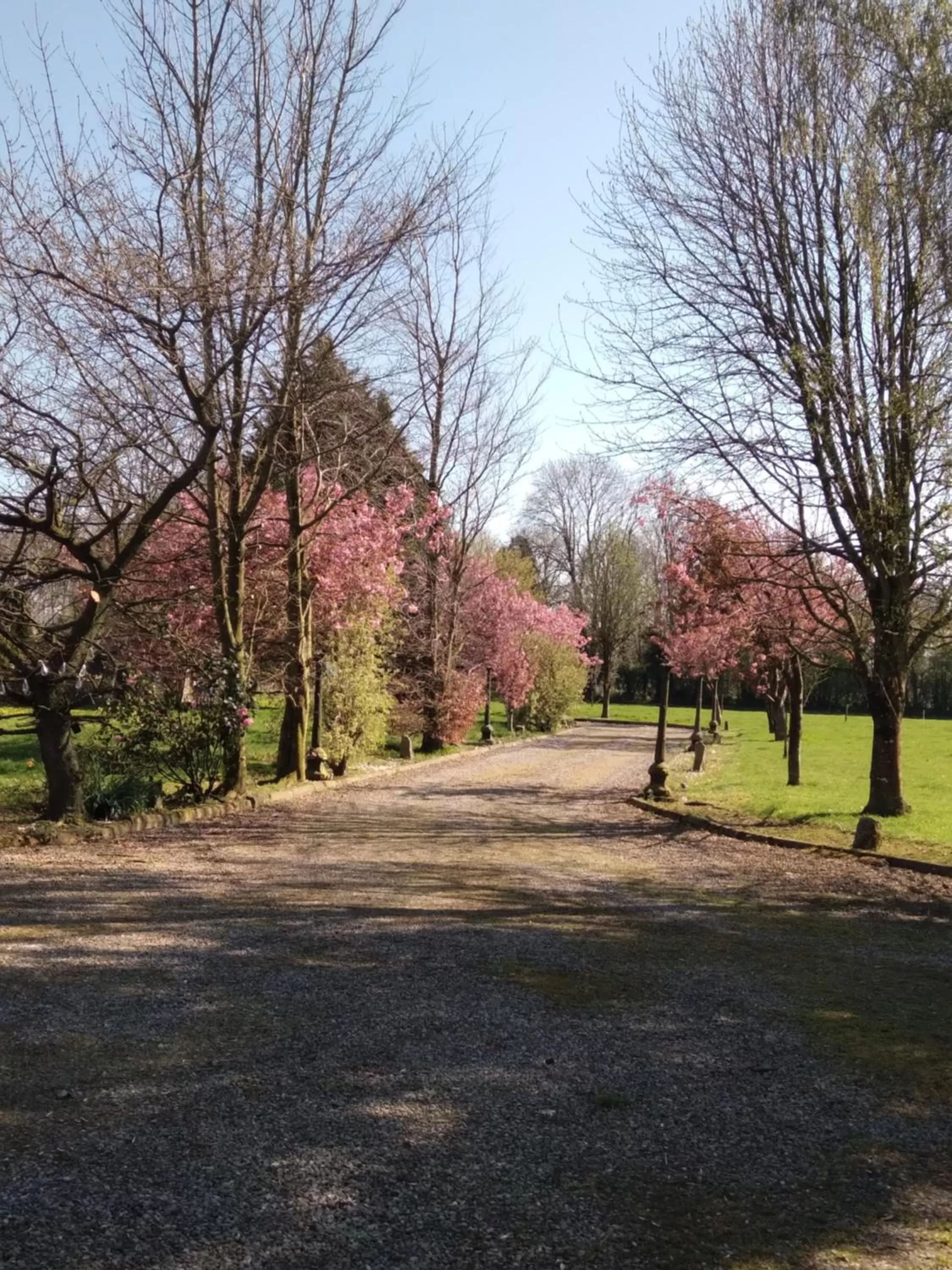 Garden in Dunroven Guest House