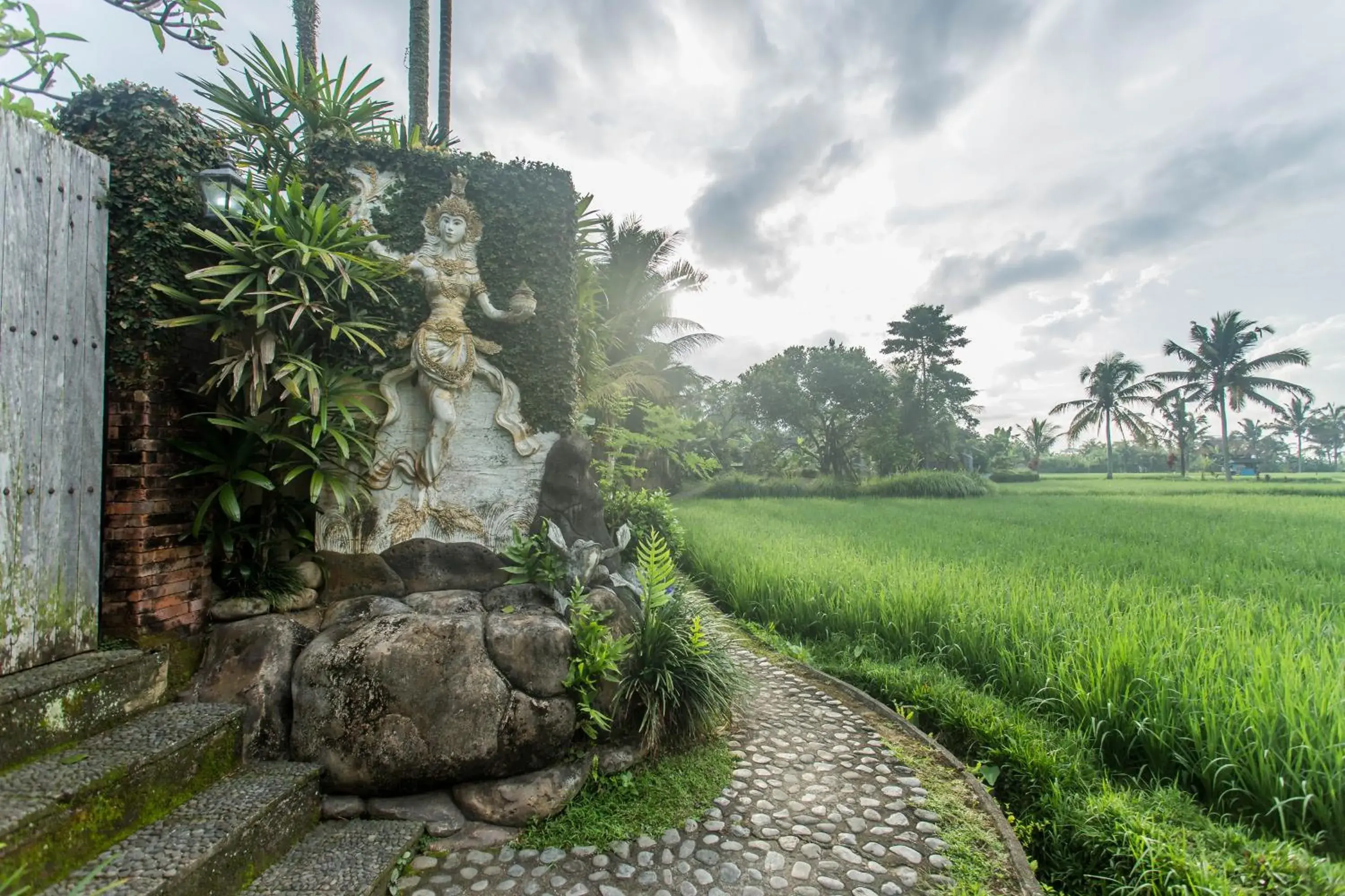 Natural landscape, Garden in Ubud Luwih Nature Retreat