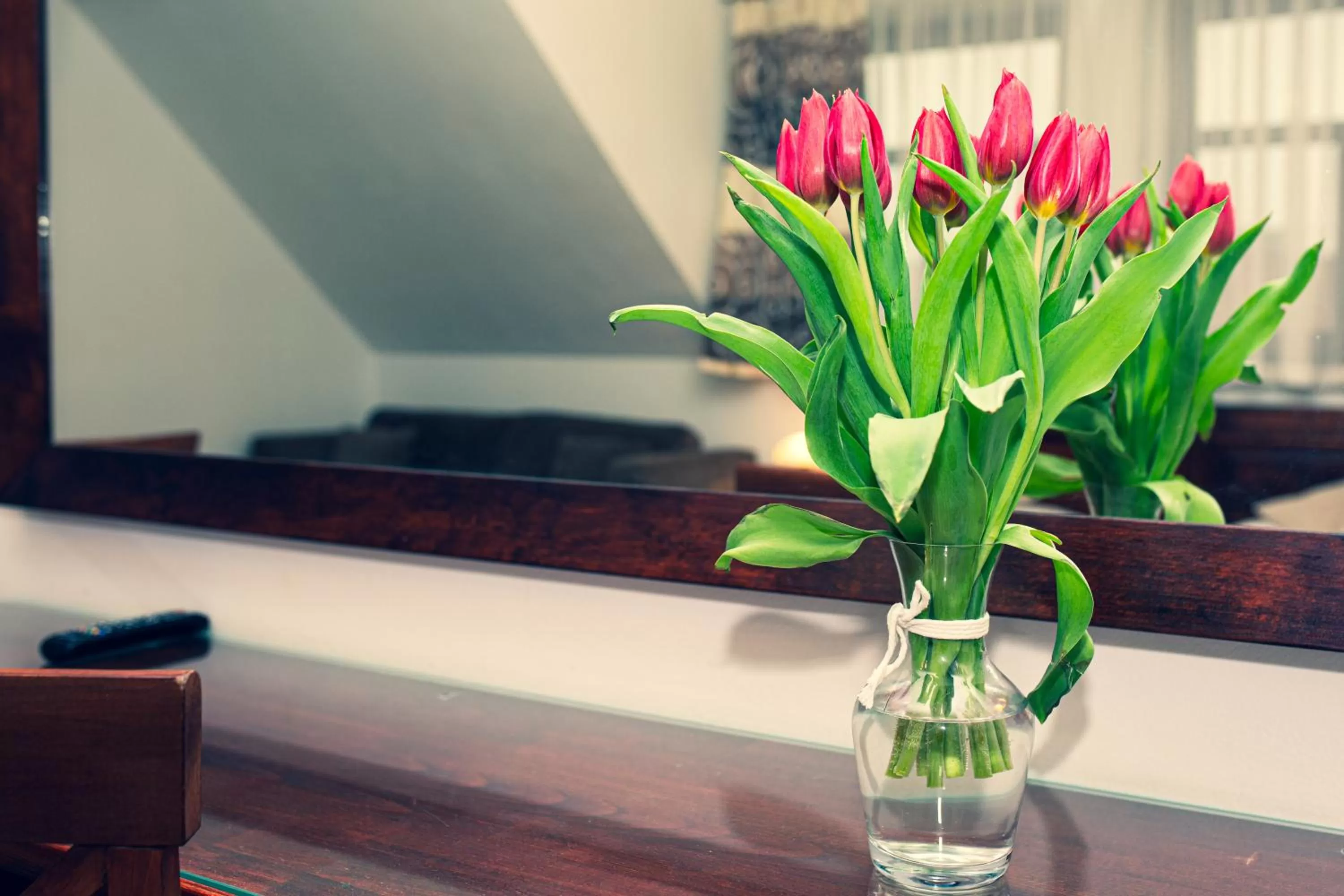 Lake view in Gościniec Molo