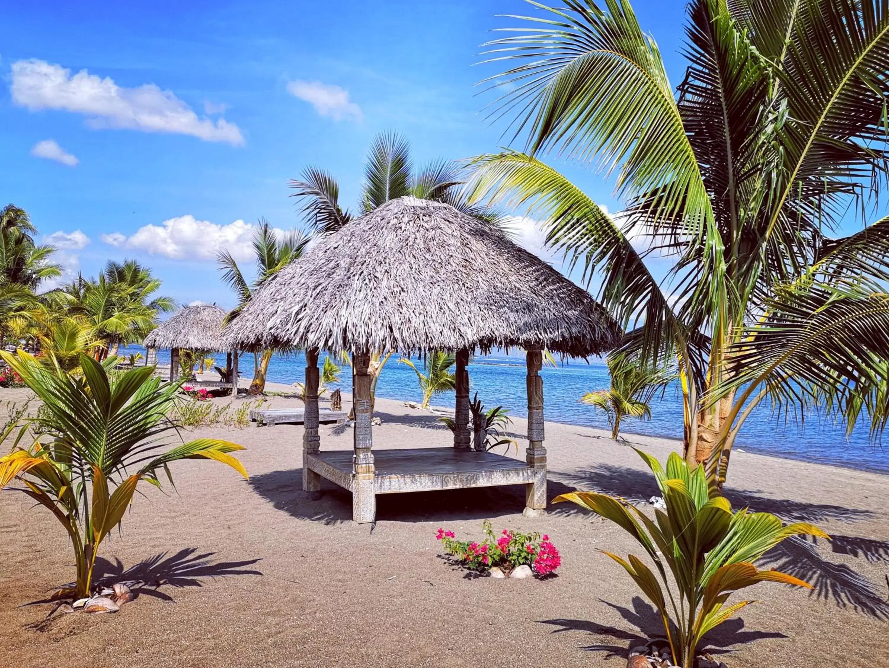 Beach in Coconut Garden Beach Resort