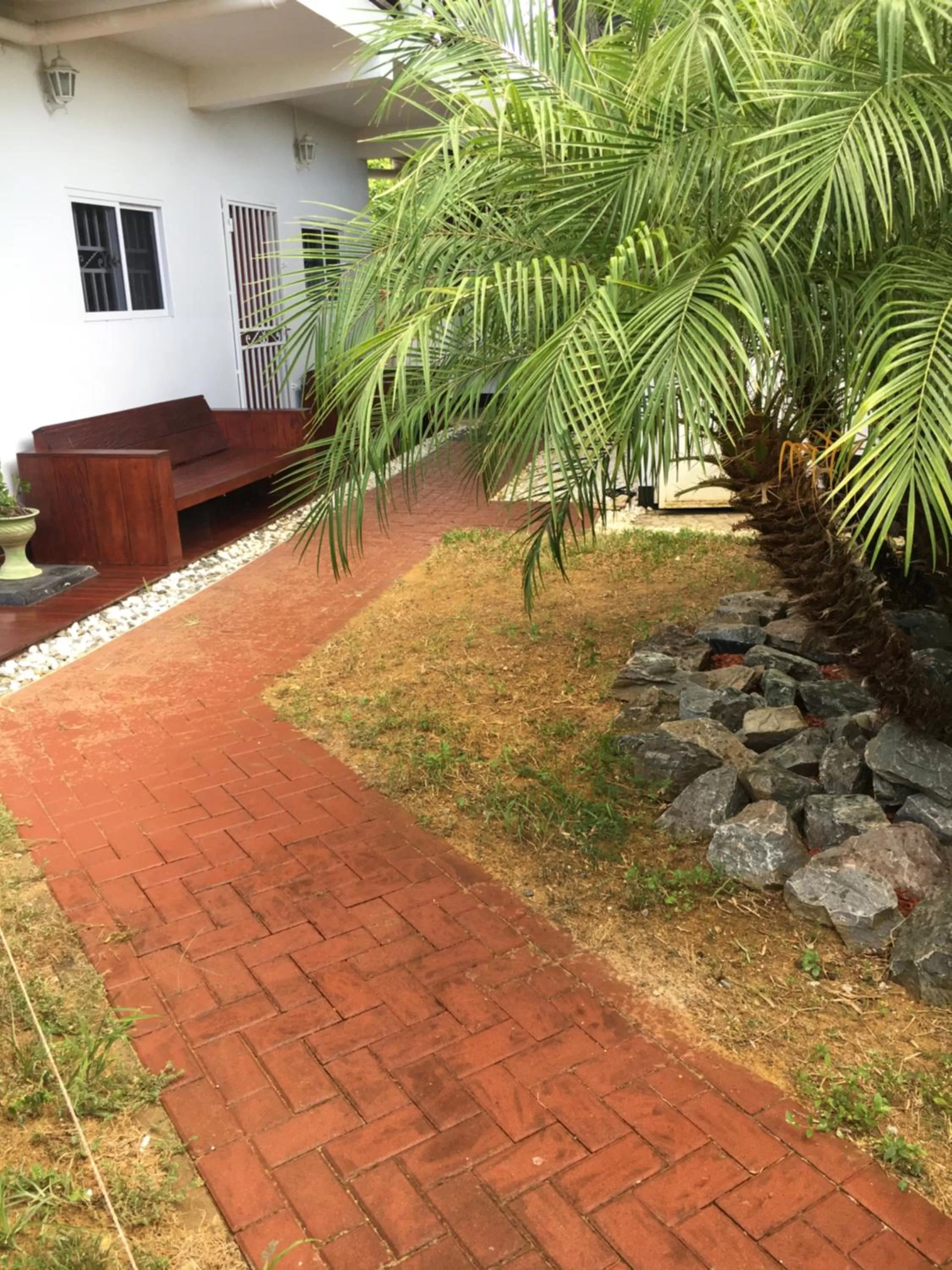 Garden in Asteria Studios
