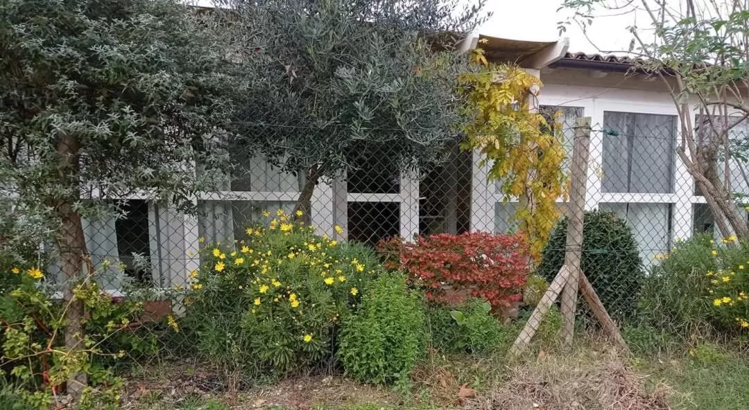 La Casa di Tara B&B Armonia e Natura