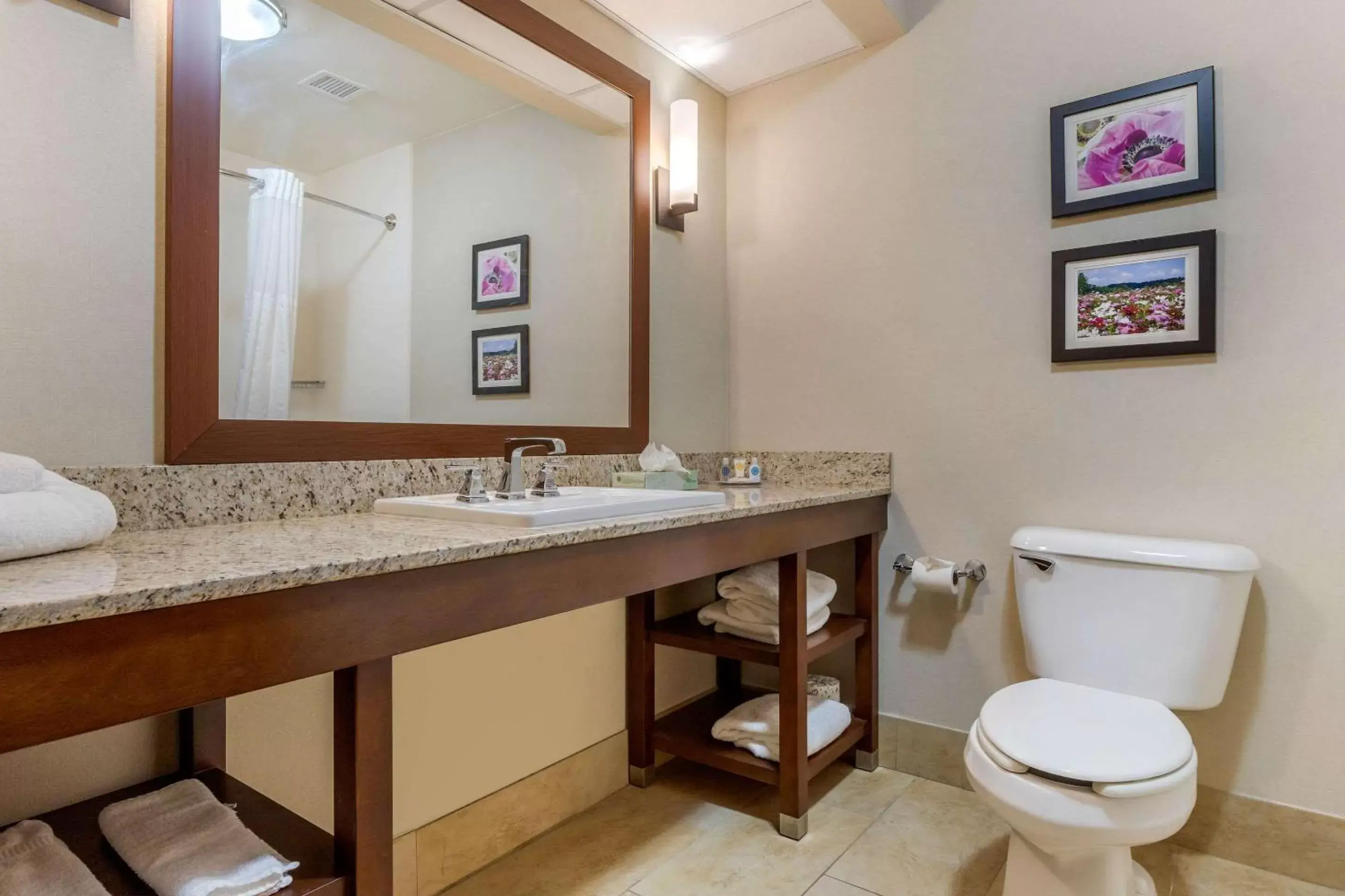 Bathroom in Comfort Suites Gastonia - Charlotte