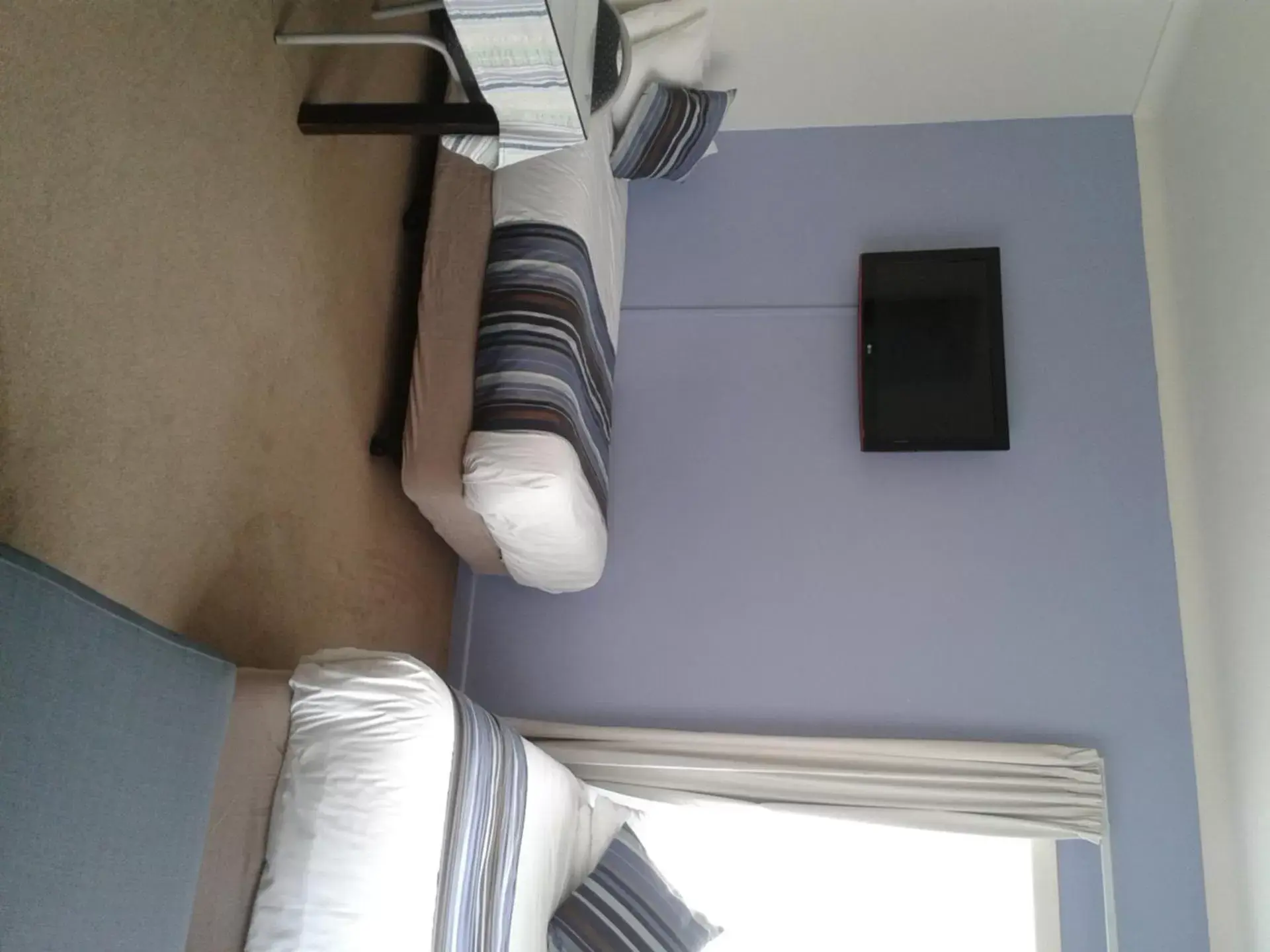 Family Room with Private Bathroom - single occupancy in Aarangi Motel