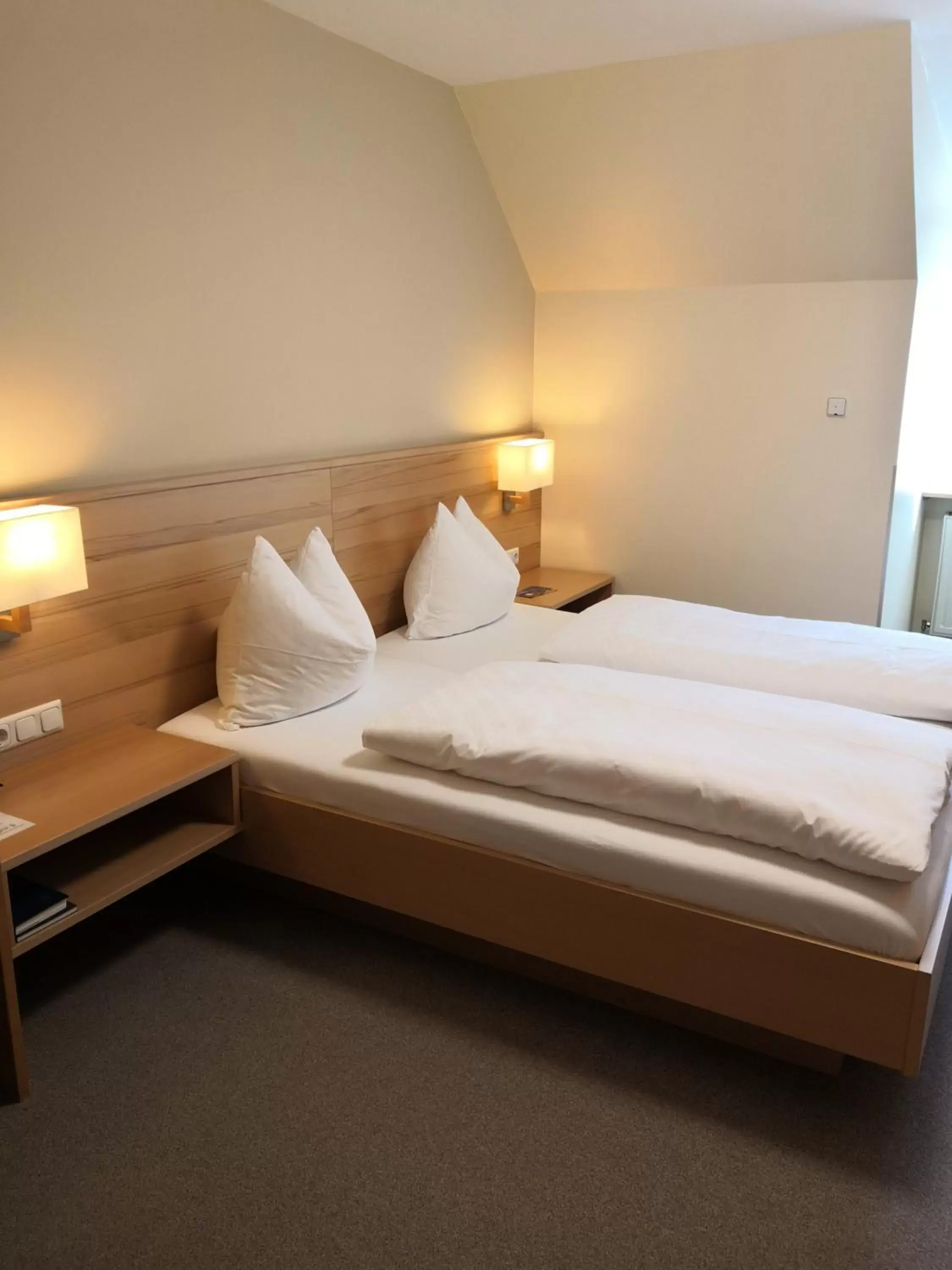 Double Room in Hotel Messmer
