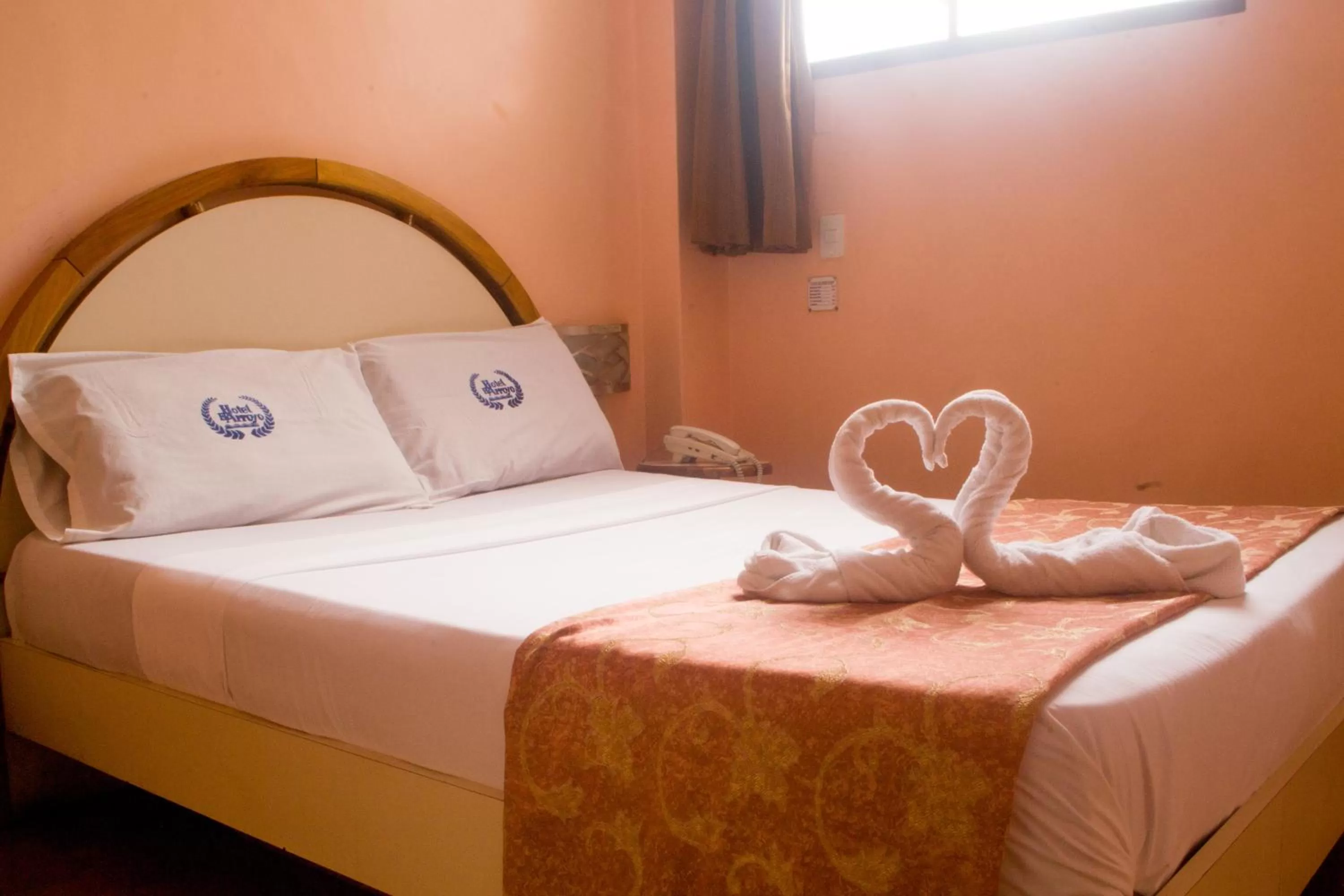 Standard Double Room in Hotel El Arroyo