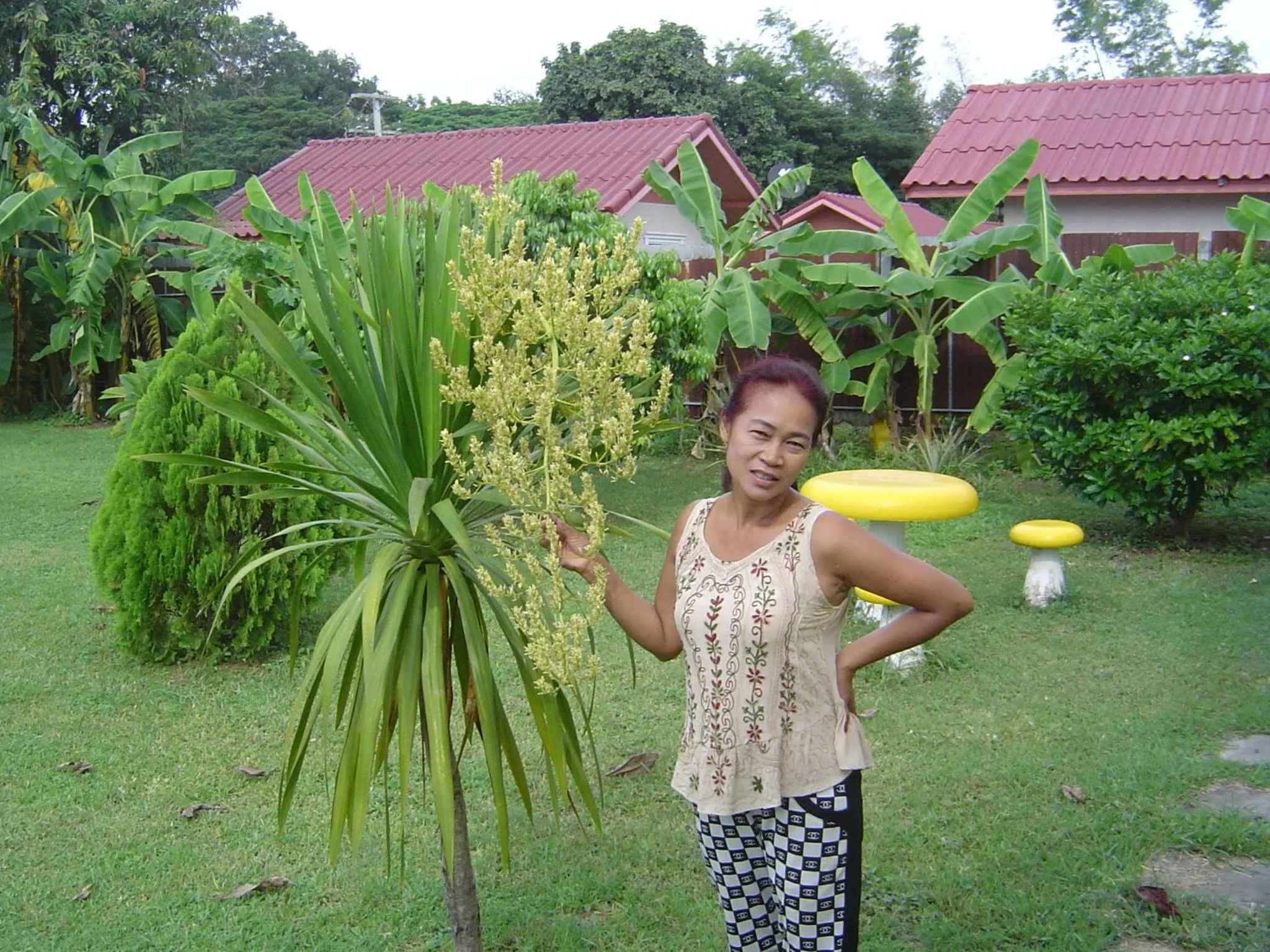 Garden in Mini-golf **** & Resort Ubon Ratchathani