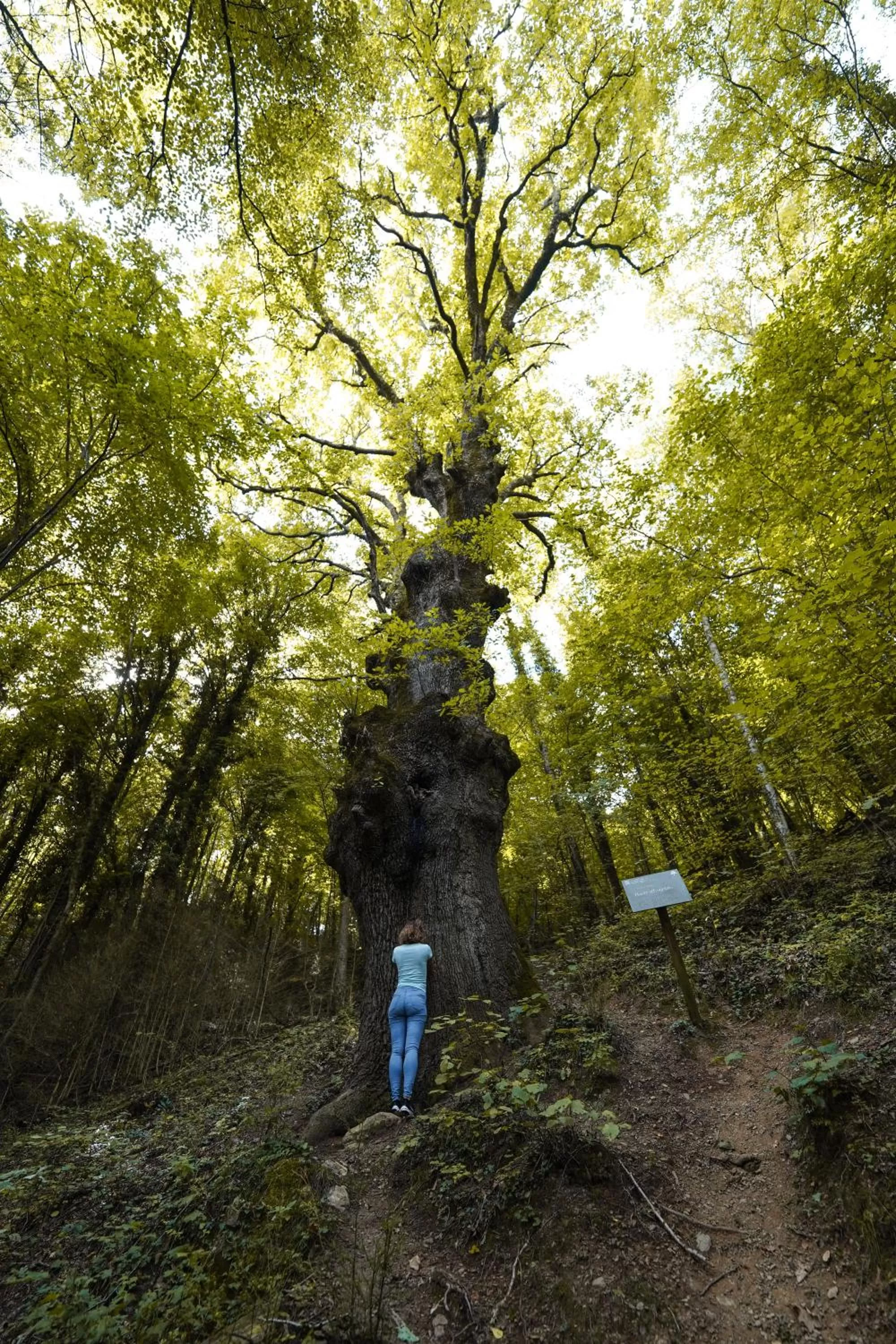 Nearby landmark in Angelats Hotel - A Signature Boutique Hotel